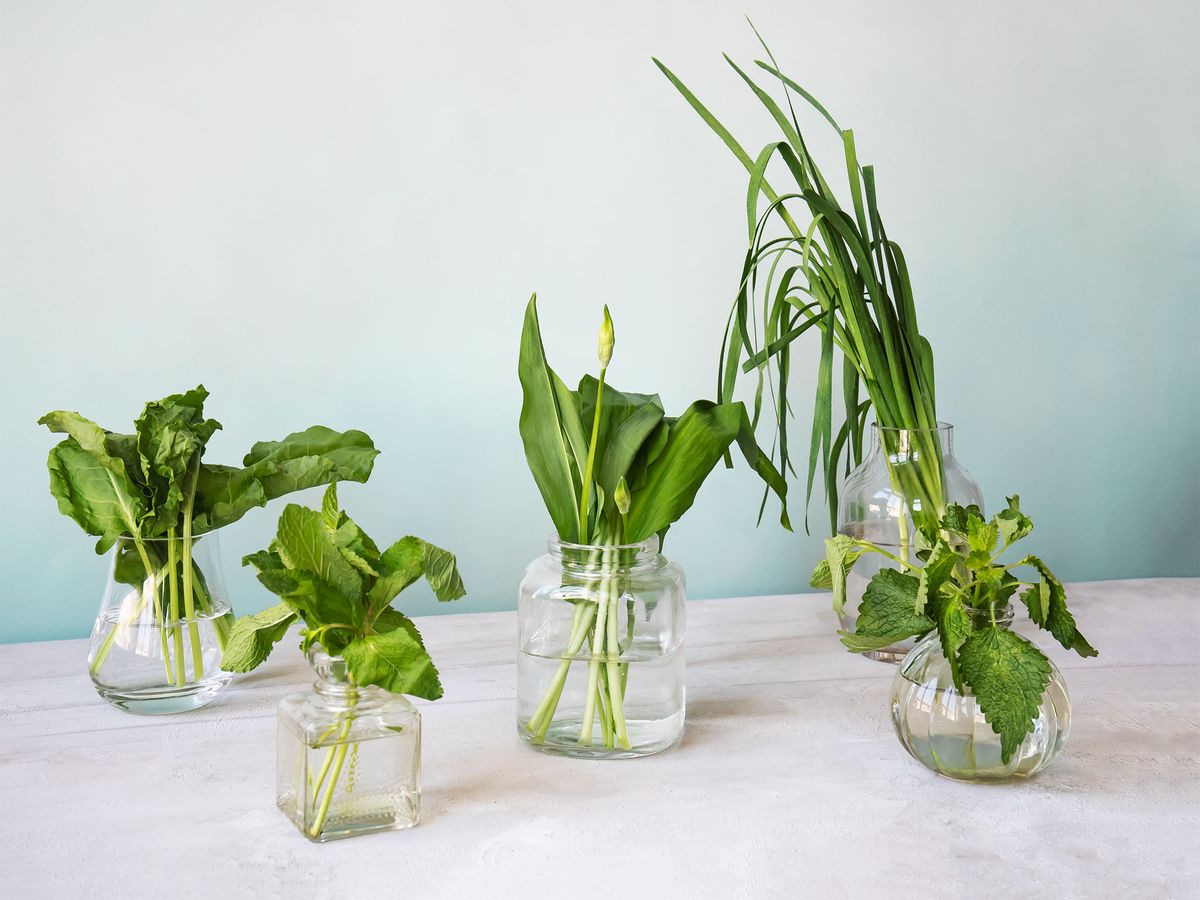 5 Little-Known Spring Herbs That Belong in Your Kitchen | Stories ...