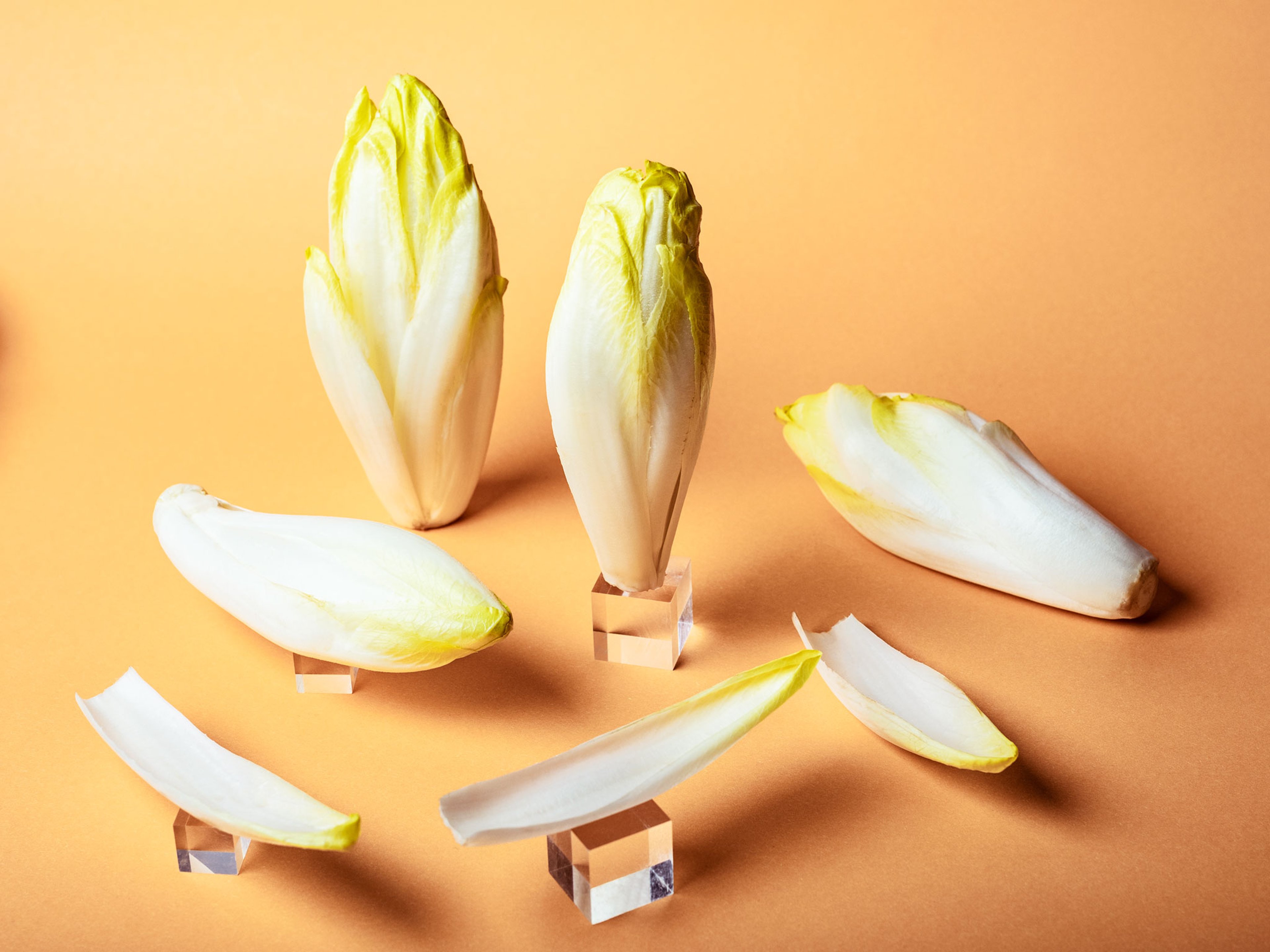 Everything You Need to Know About Cooking and Shopping for In Season Endive