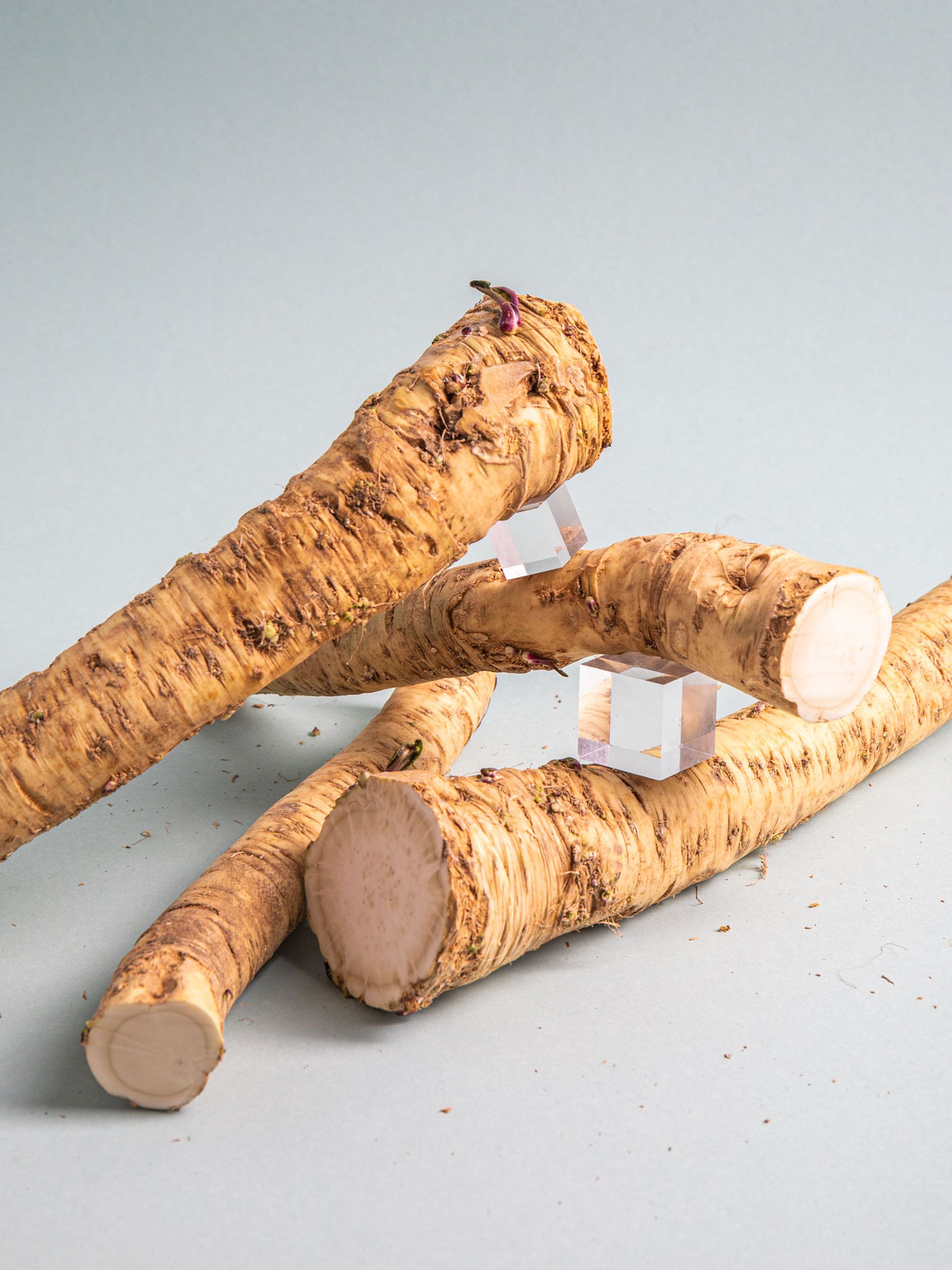 Everything You Need to Know About Shopping for, Storing, and Preparing