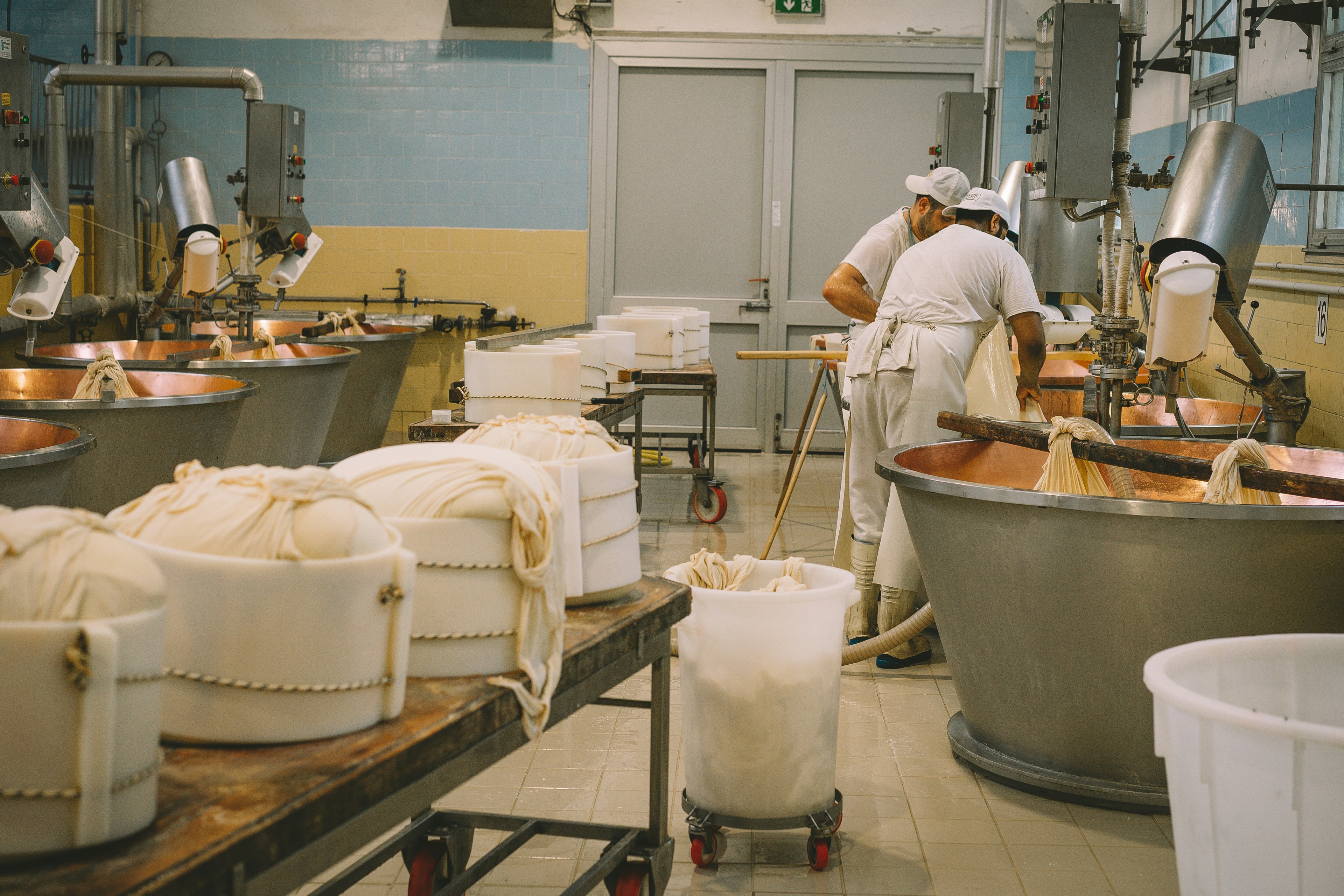 Lab-Grown-Cheese: Yay oder Nay?