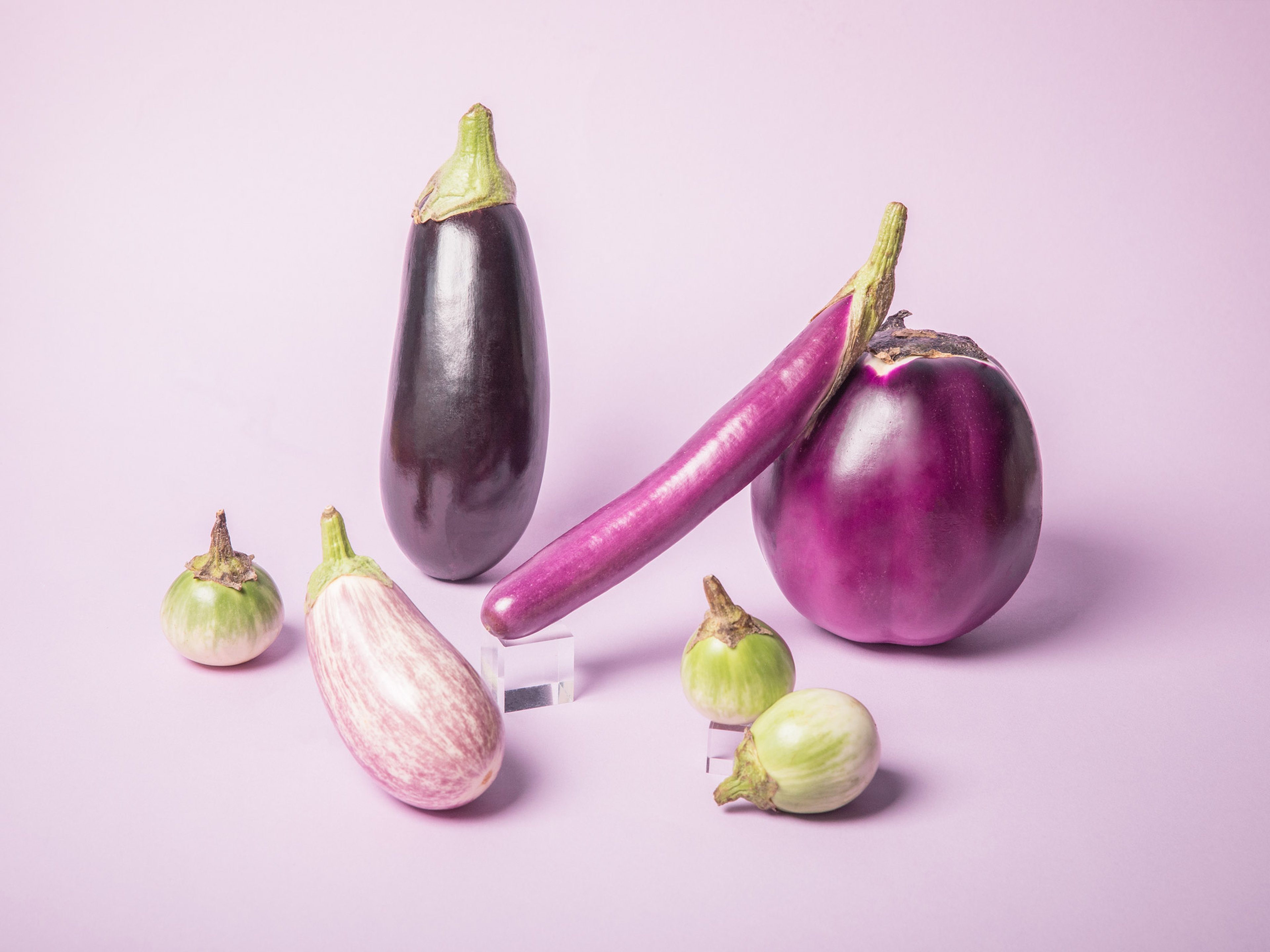 Everything to Know About Cooking and Shopping for In Season Eggplant
