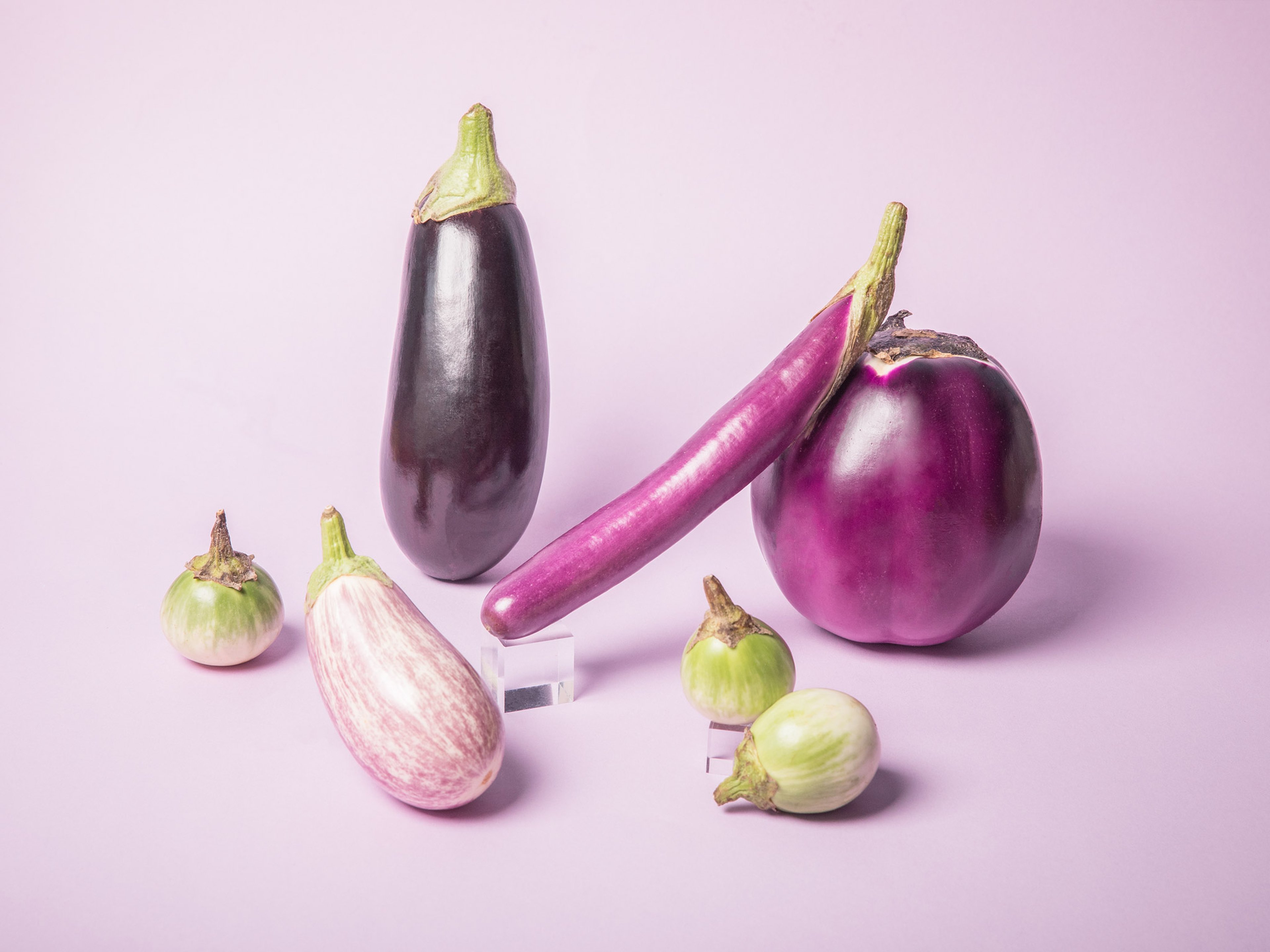 Jetzt in Saison: Aubergine richtig kaufen, lagern und zubereiten