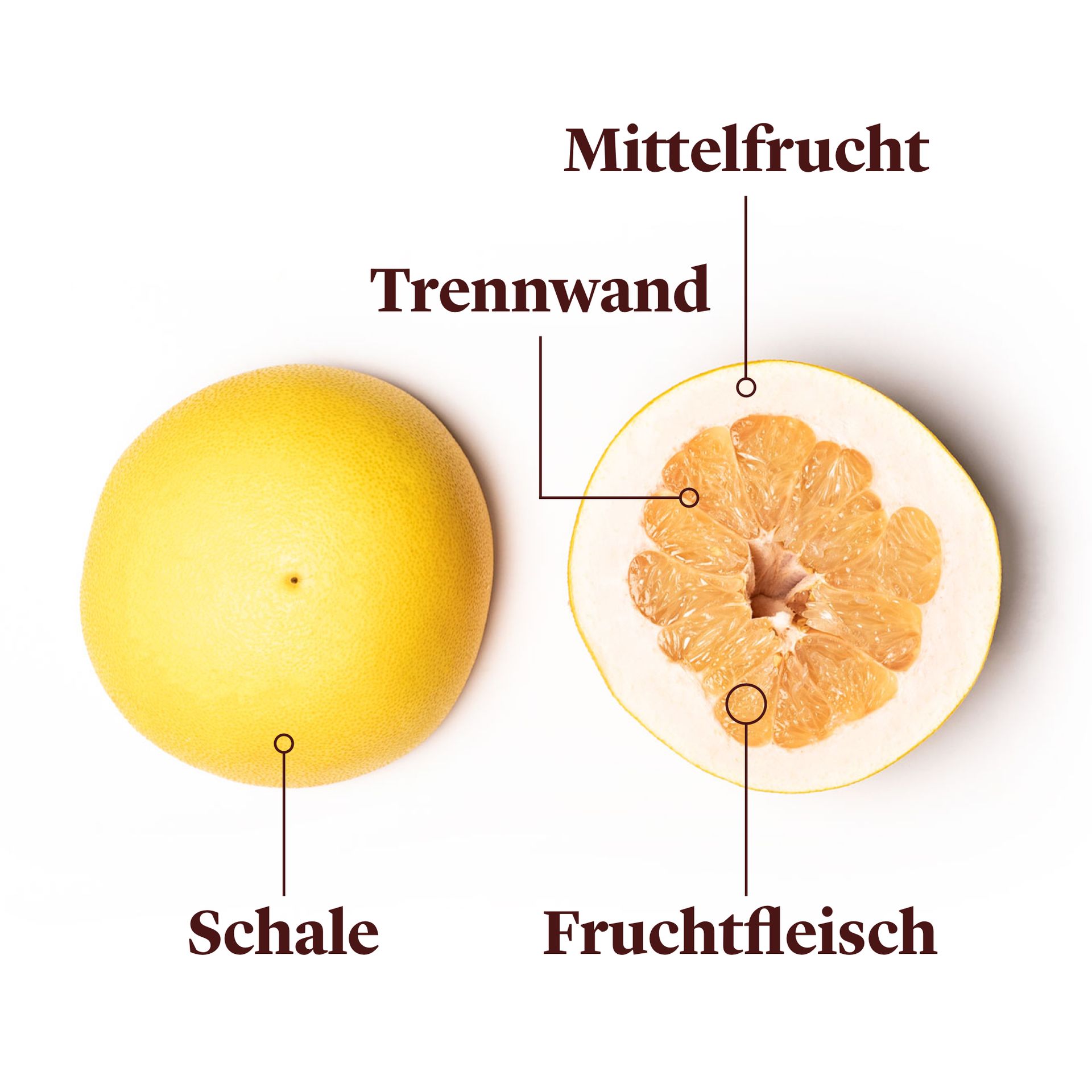 Jetzt in Saison Pomelo richtig kaufen, lagern und zubereiten Stories