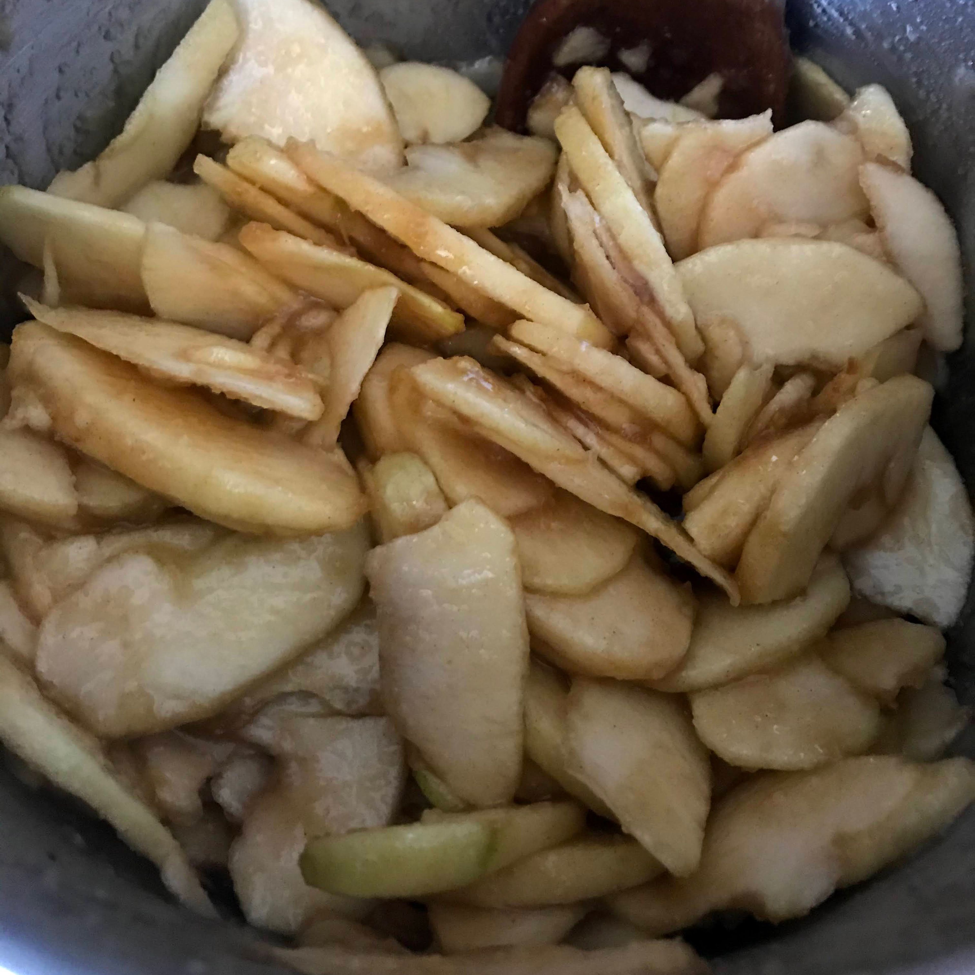 Sprinkle the cinnamon on top of the apples and combine,then pour the sauce over the apples and stir to coat the apple slices.
