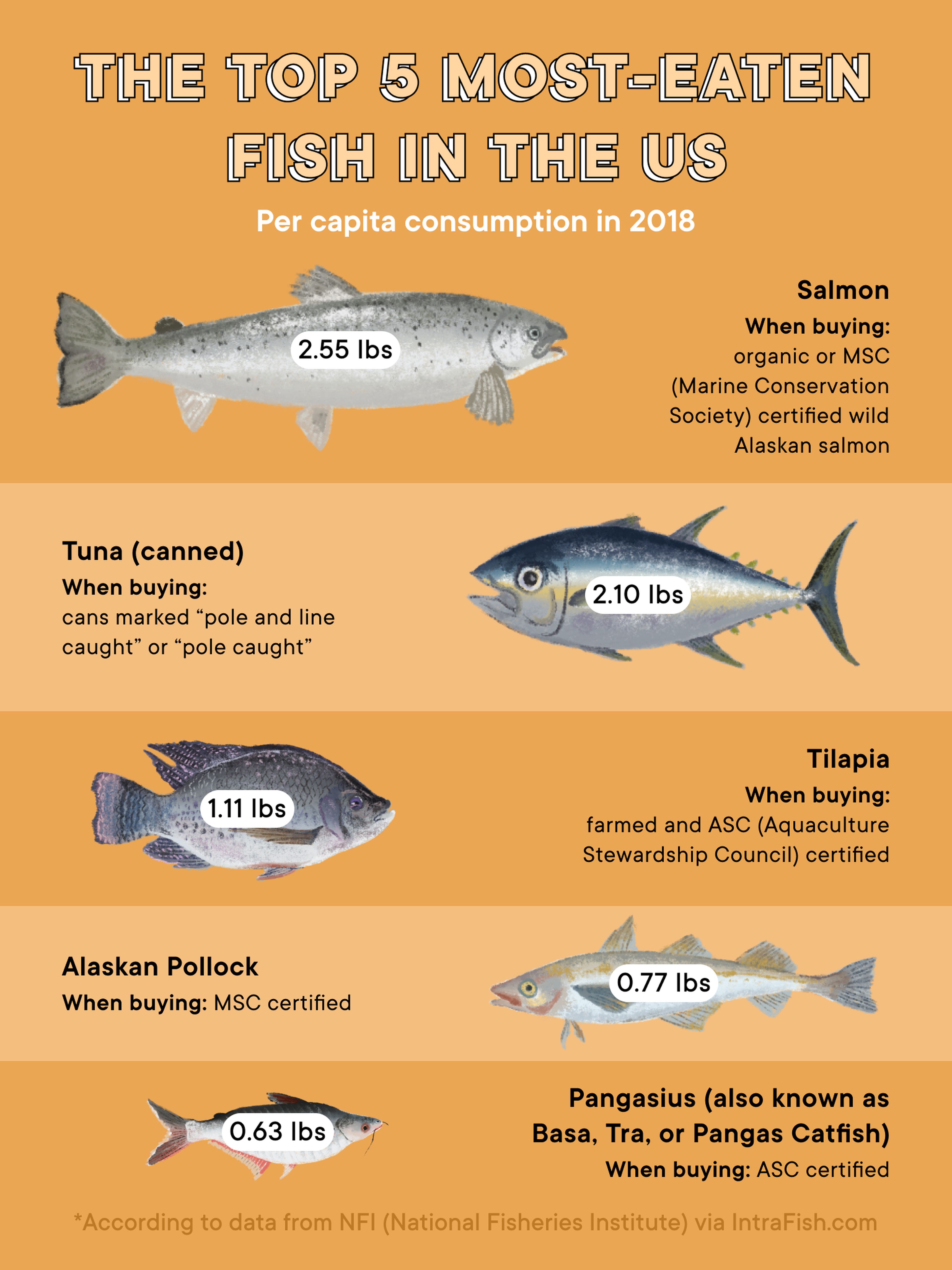 Top 10 most consumed fish in the world in 2021 (with photos) 