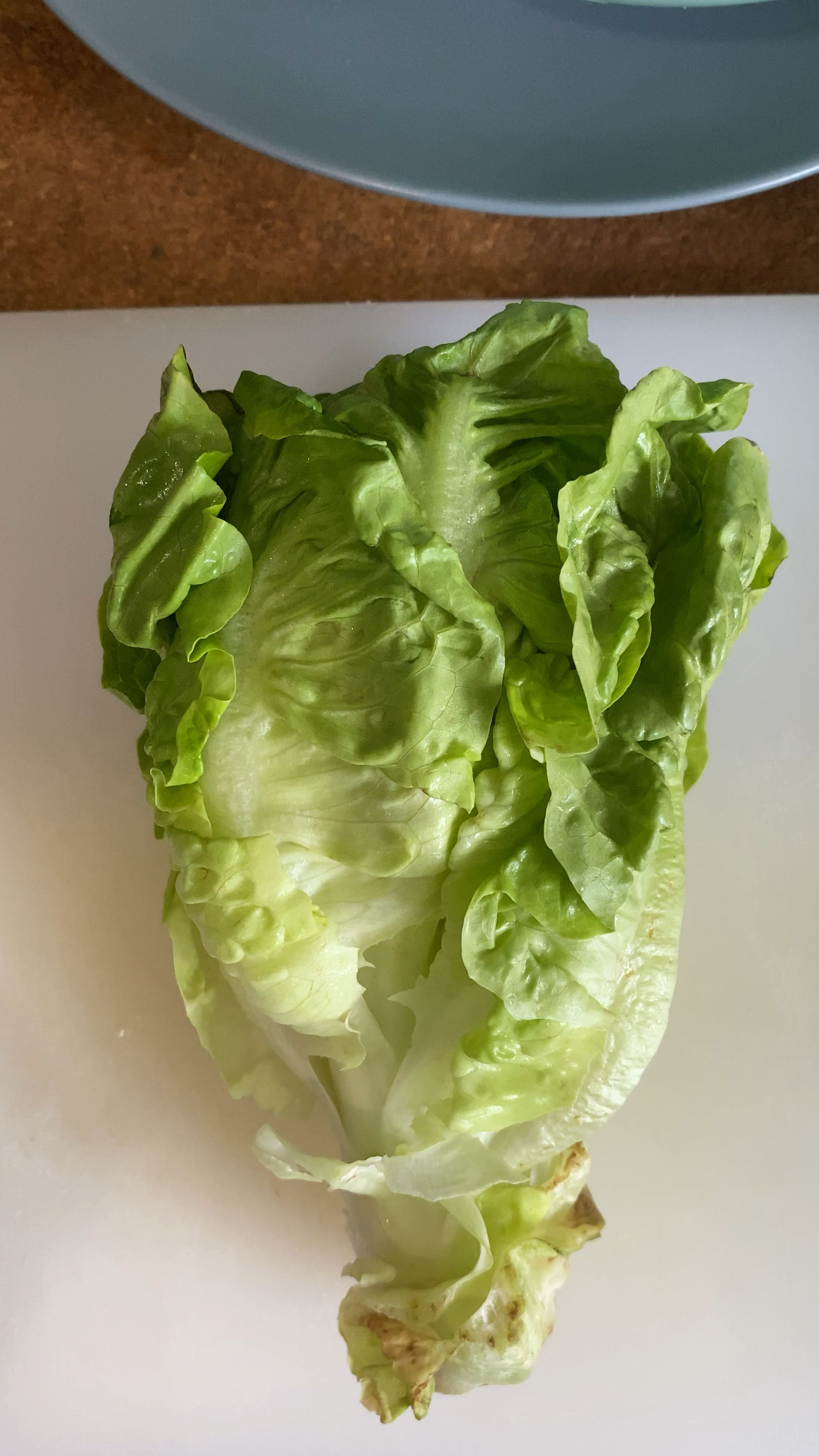 Wash and dry lettuce.