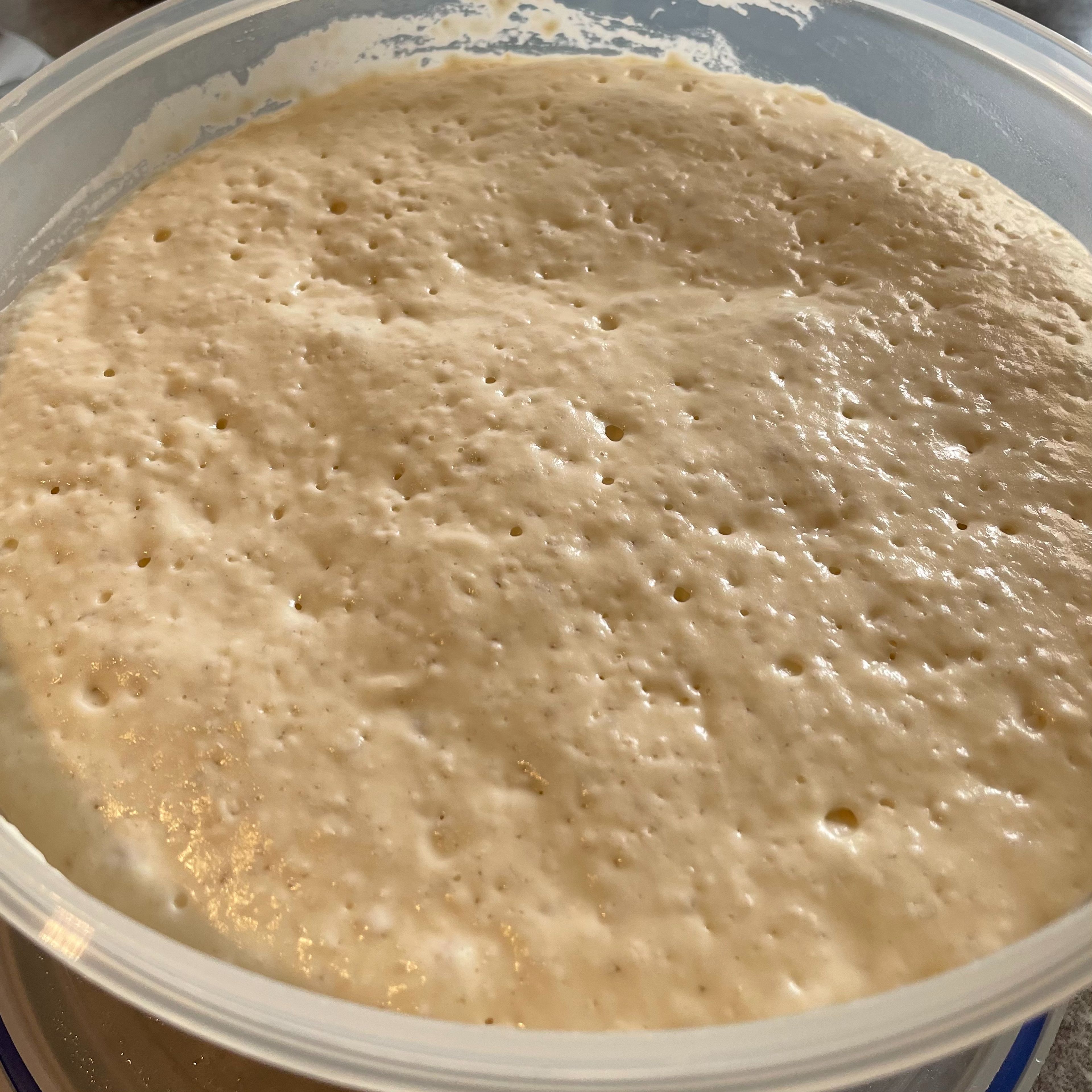 Cover the bowl and let the batter rise till it doubles in volume and is all bubbly. It will take about 40..60min, though yeast has a mind of it’s own and it may take longer.