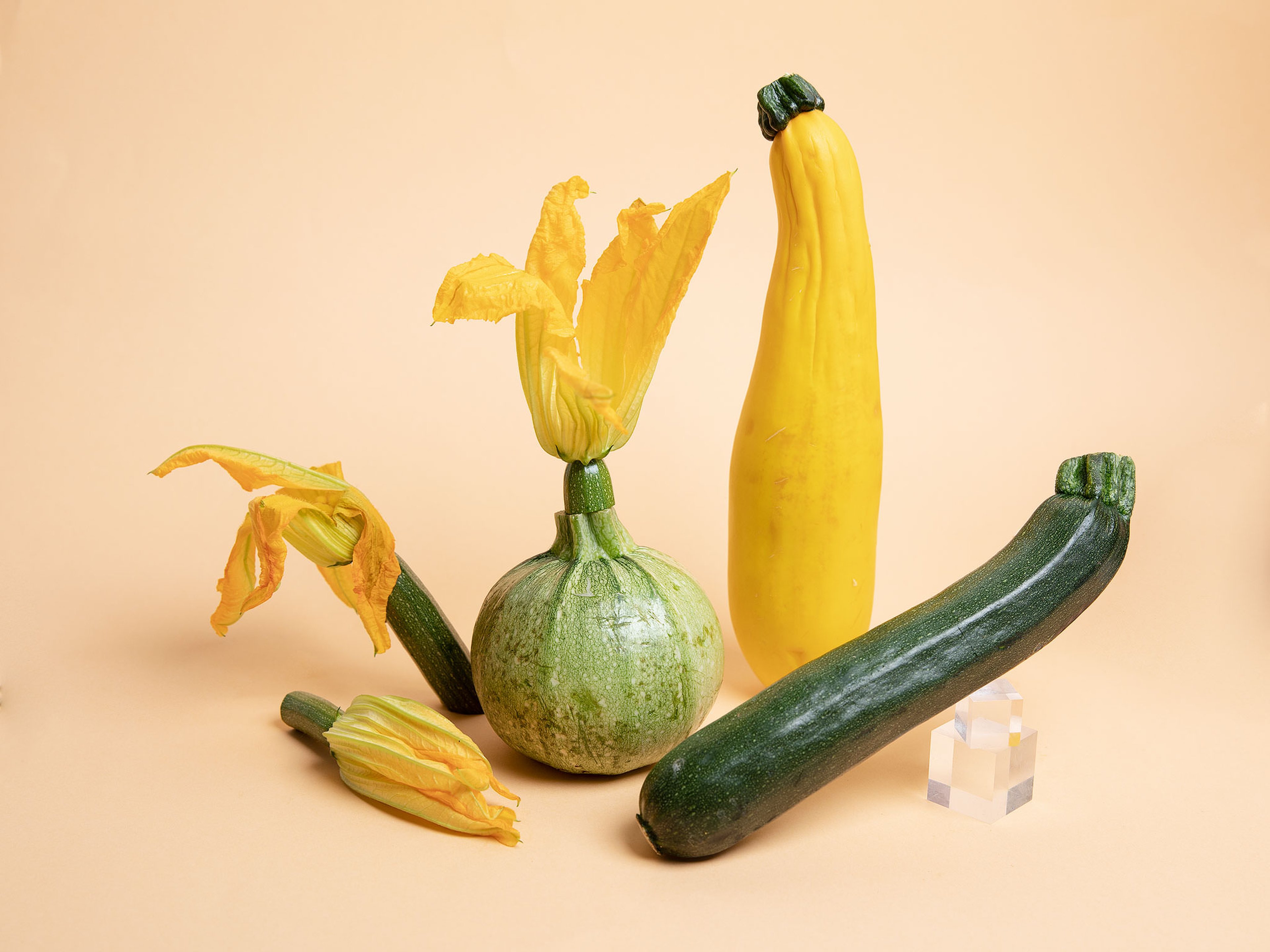 Jetzt in Saison: Zucchini richtig kaufen, lagern und zubereiten