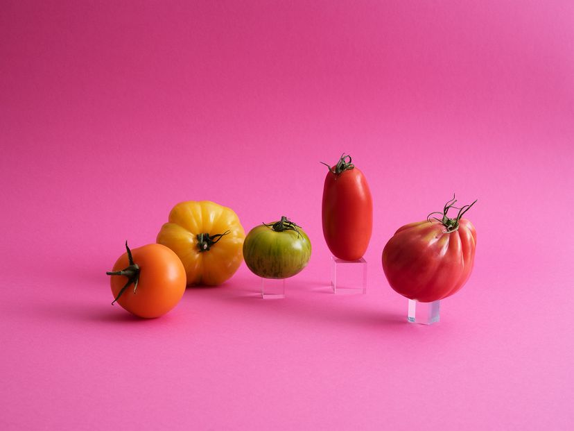 Jetzt in Saison: Tomaten richtig kaufen, lagern und zubereiten