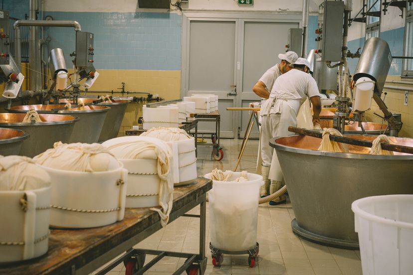Lab-Grown-Cheese: Yay oder Nay?