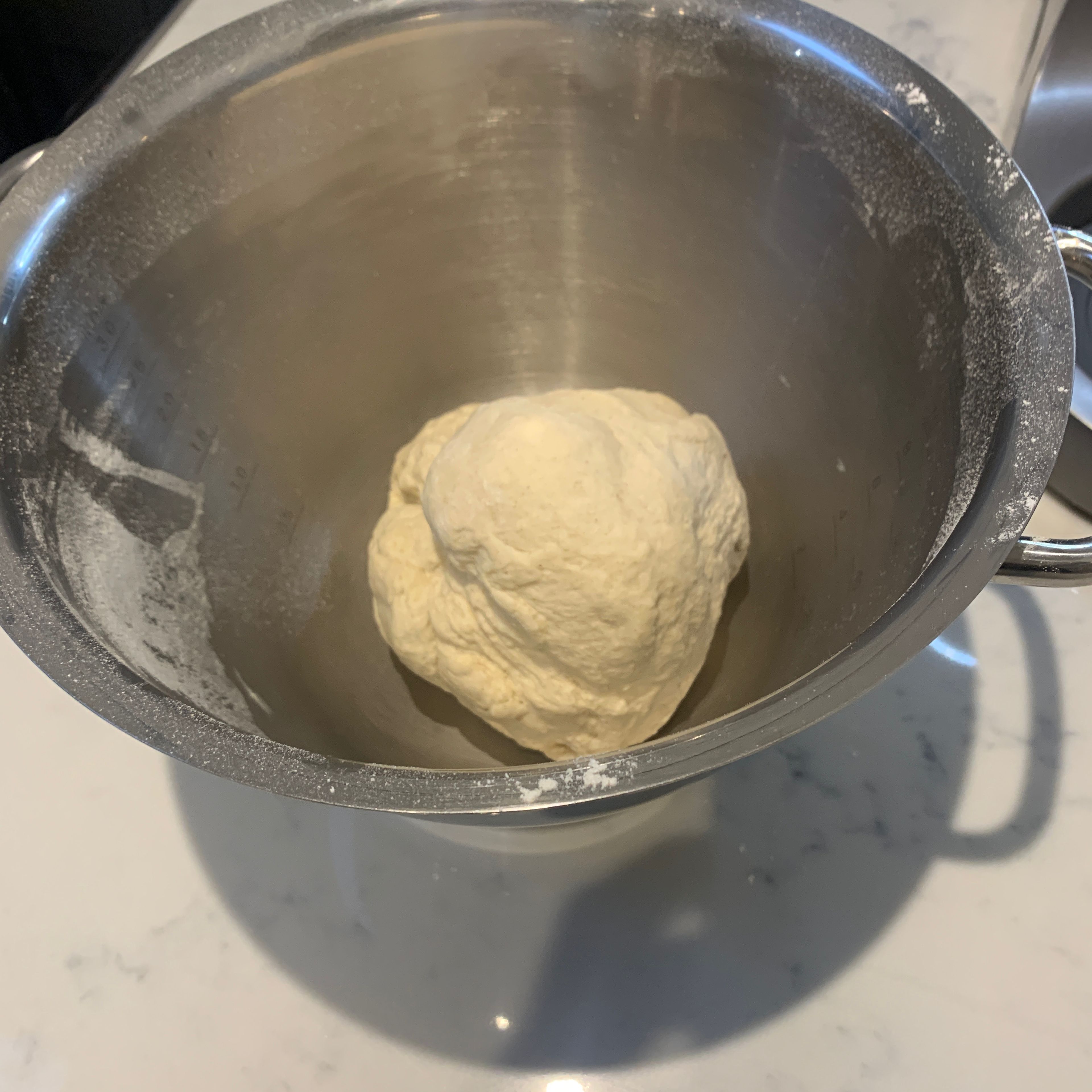 Knead for 10 minutes  and let it raise in a warme place for 1 hour 