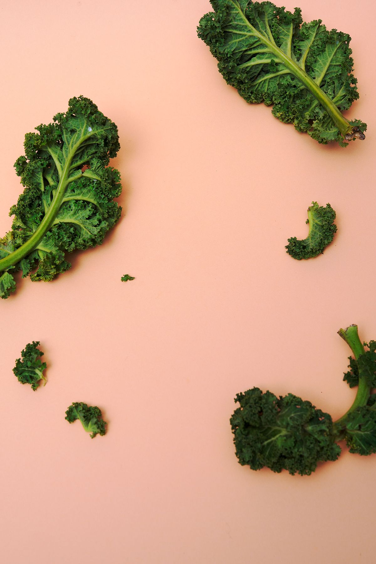 Everything to Know About Cooking and Shopping for In Season Kale