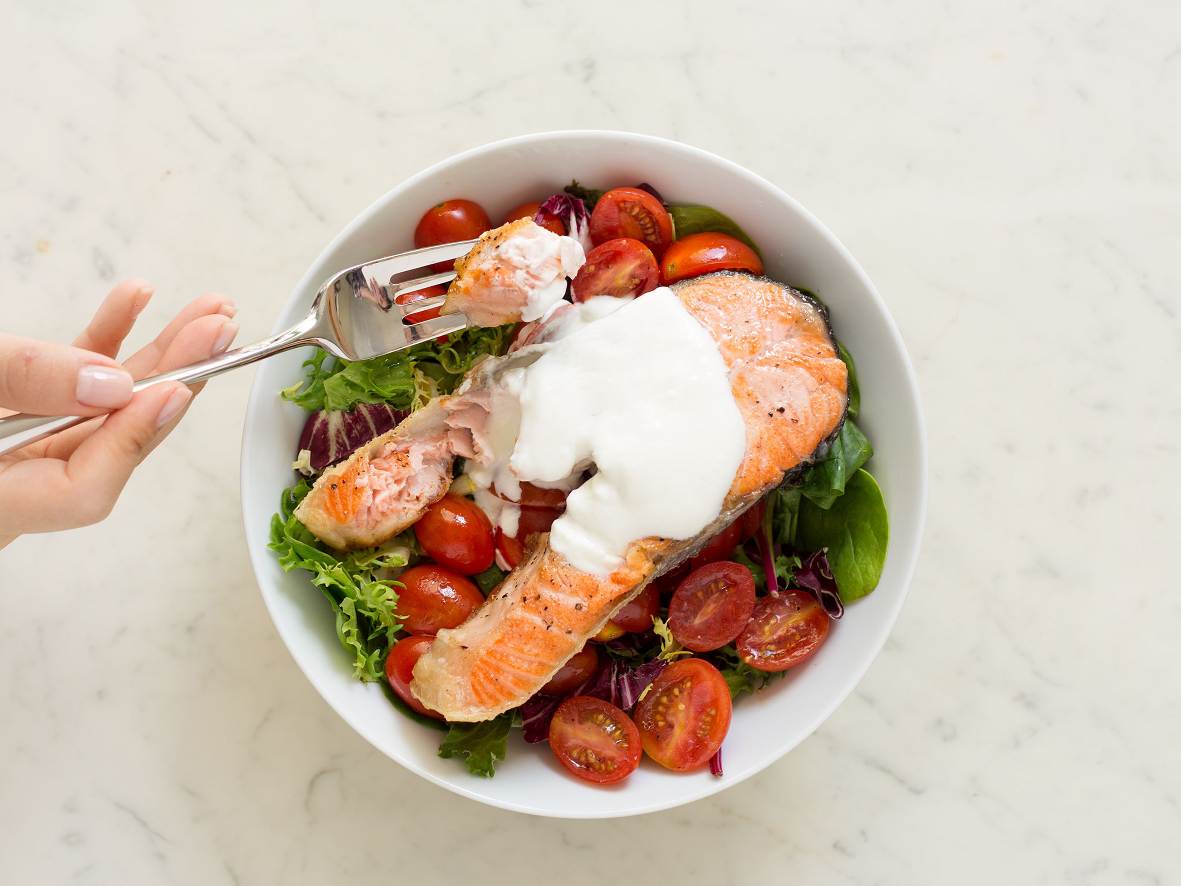 Gebratener Lachs auf Salatbett