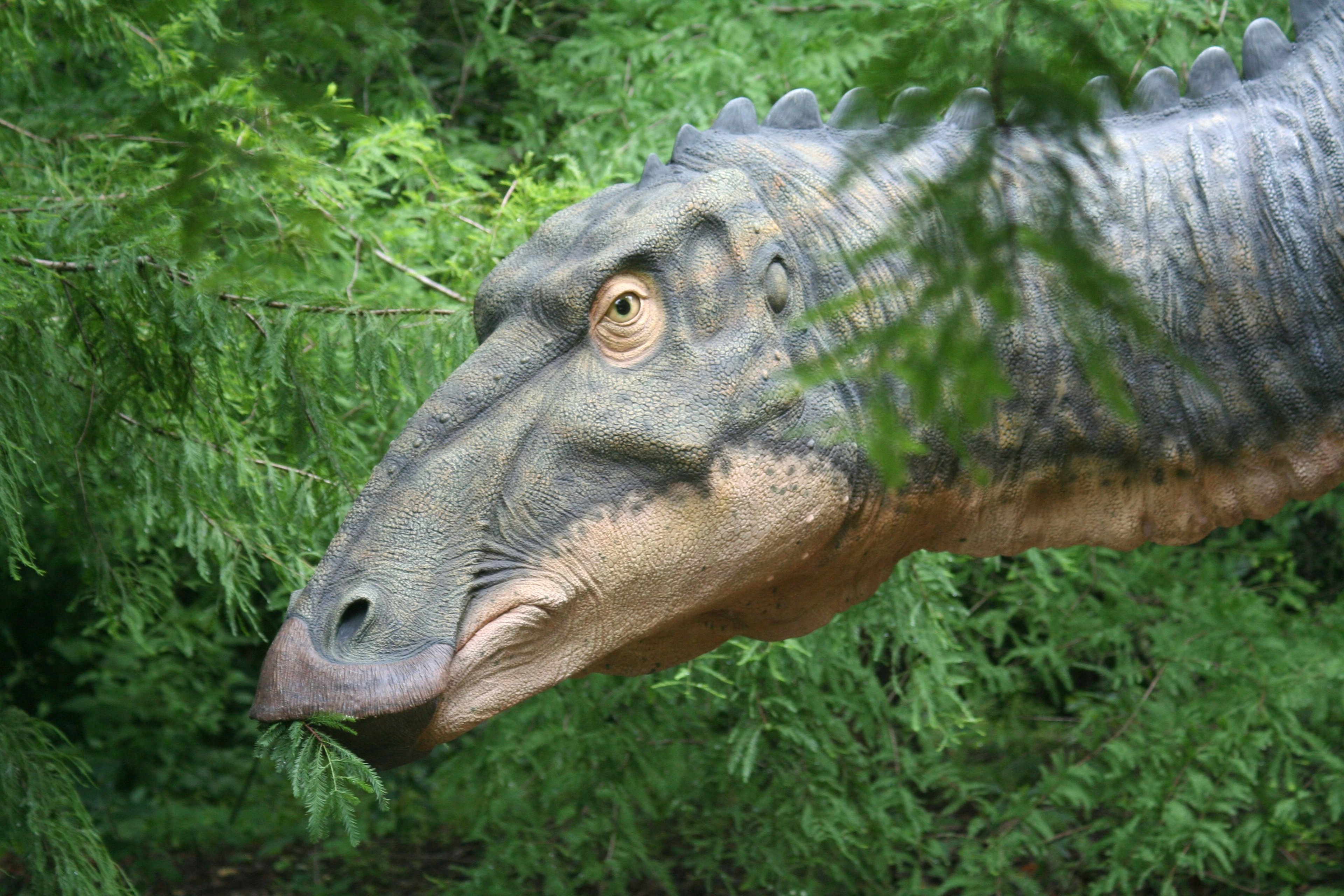 “Dinosaur time” to eat your leafy greens is the new trend