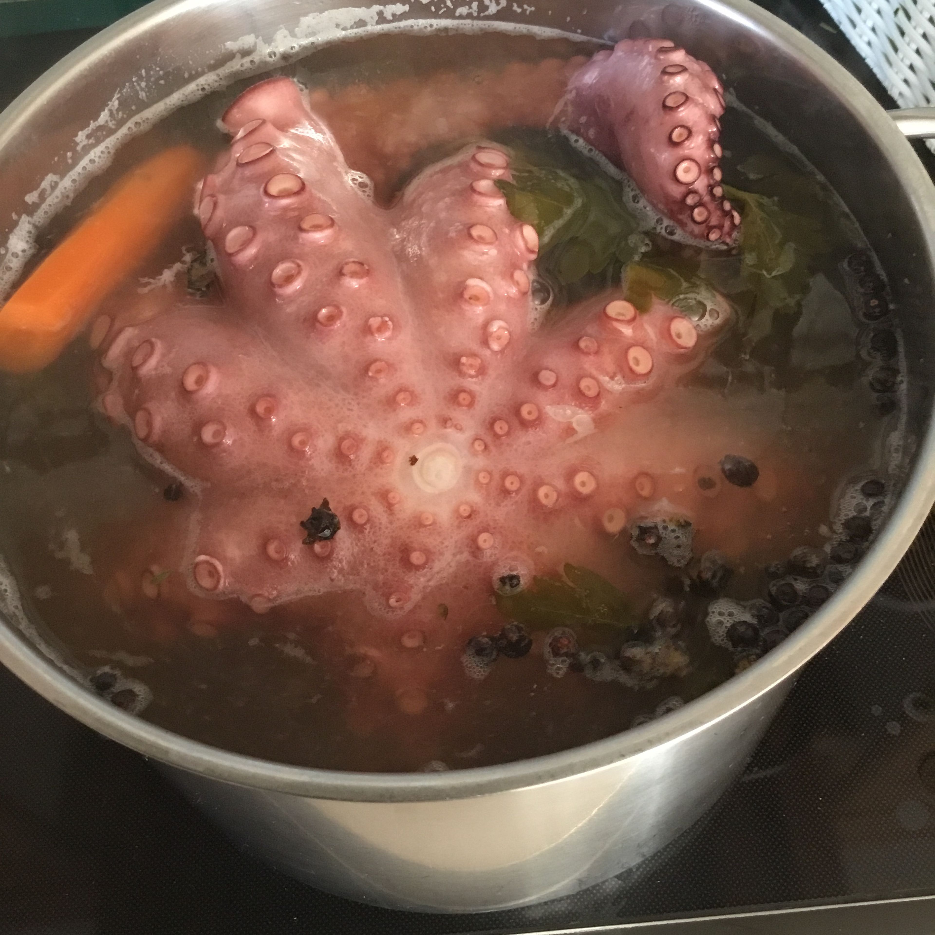 Den Octopus kurz aufkochen und dann weitersimmern lassen. Wenn er brodelnd gekocht wird, wird er zäh. Die Kochzeit beträgt je nach Größe zwischen 1 1/4 h und 2 h. Bei diesem ca. 2 kg „Oschi“ habe ich 2 h gebraucht bis er butterweich ist. Ob der Pulpo fertig ist kann man mit einem Zahnstocher oder hölzernen Schaschlikstab testen. Diesen in den Pulpo stecken und wenn er sich ganz leicht wieder rausziehen lässt ist der Pulpo fertig. Ruhig auch am Anfang mal anpiksen, dann merkt man den Unterschied.