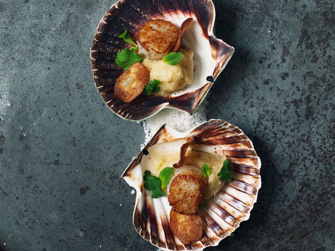 Pan-fried scallops over puréed sunchokes