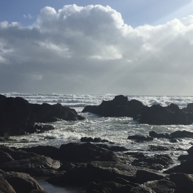 Turkish Aubergine meze | Recipe | Kitchen Stories