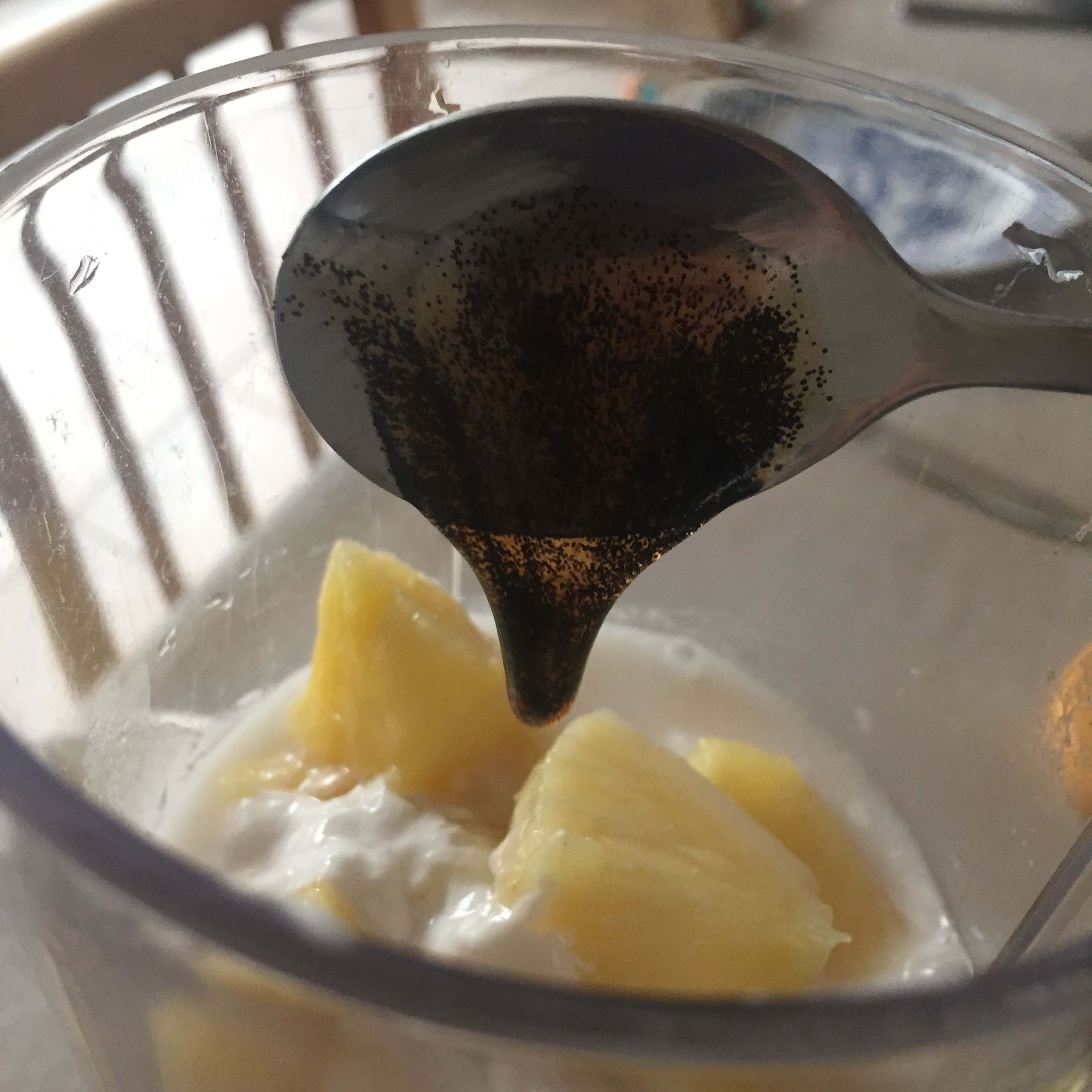 Tue die Ananas zusammen mit der Kokosmilch und dem Vanillemark in den mixer, und mixe dies ca. 1 Minute.