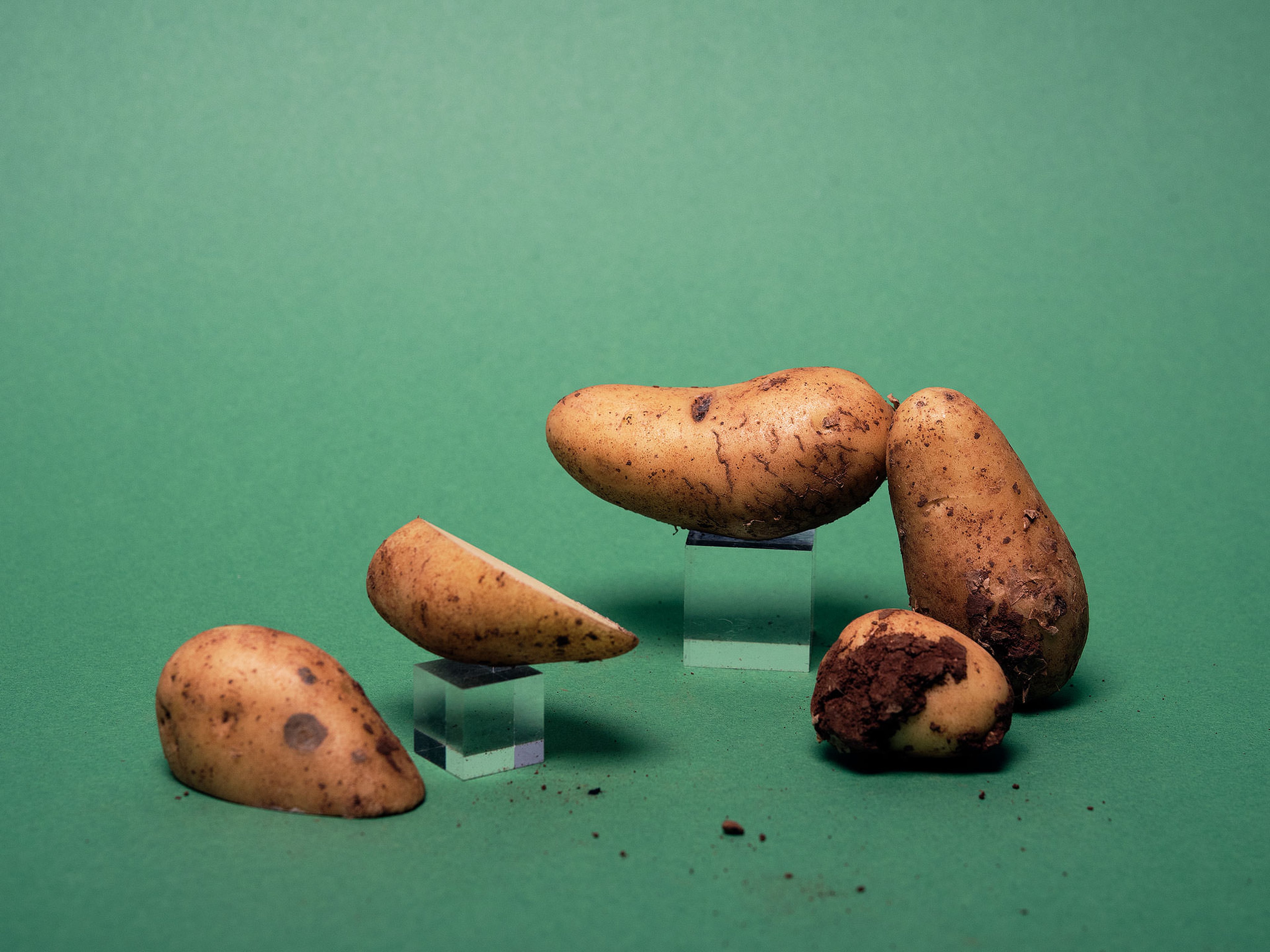 Everything to Know About Cooking and Shopping for In Season New Potatoes