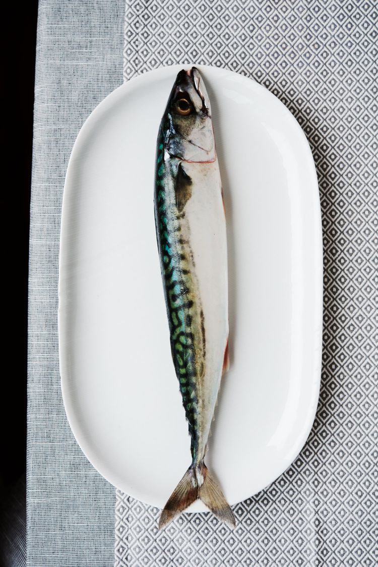 How to Cook Perfect Fish, Every Time Stories Kitchen Stories