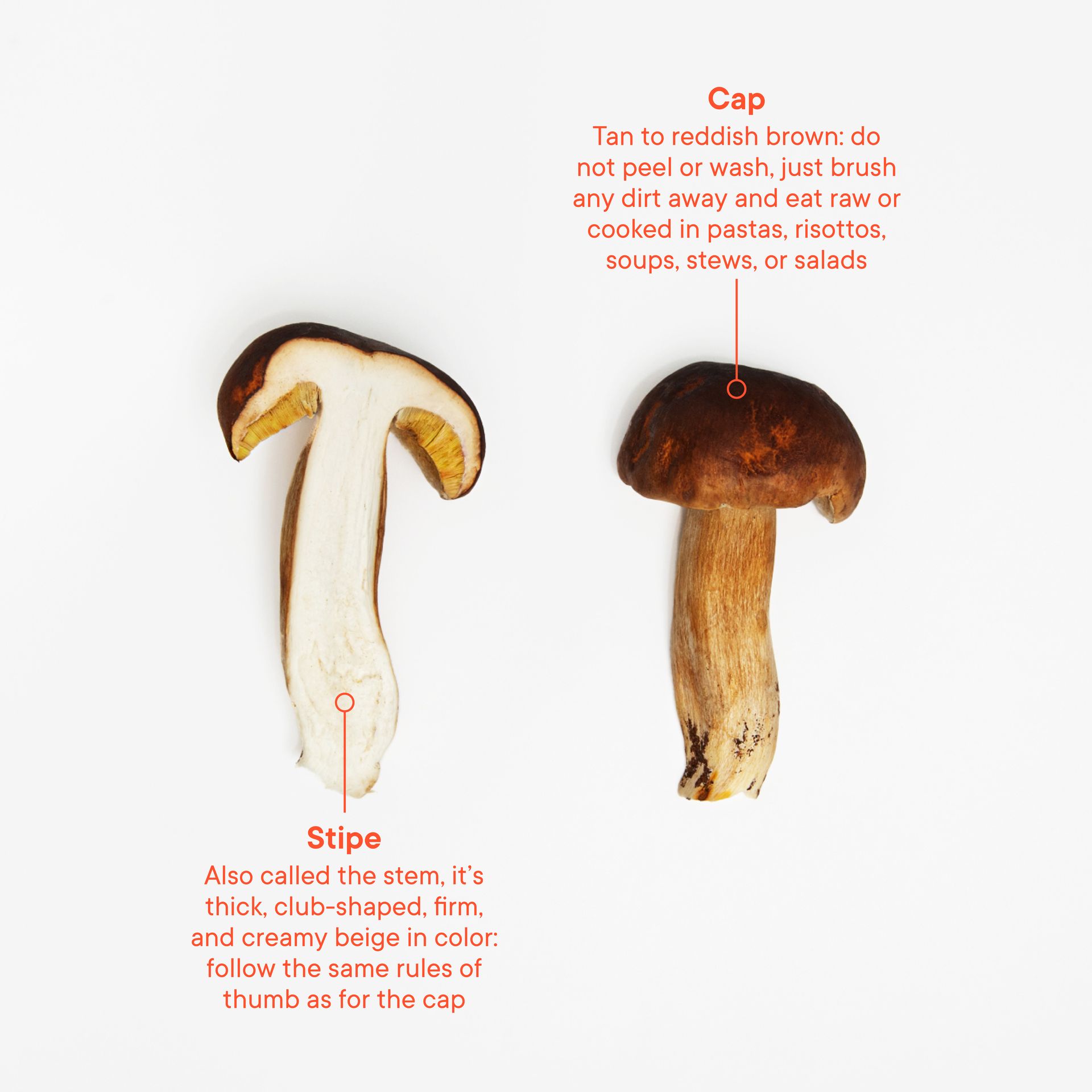 Everything You Need to Know About Preparing and Storing In Season