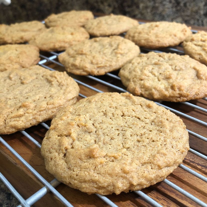 Snickerdoodle pudding cookies