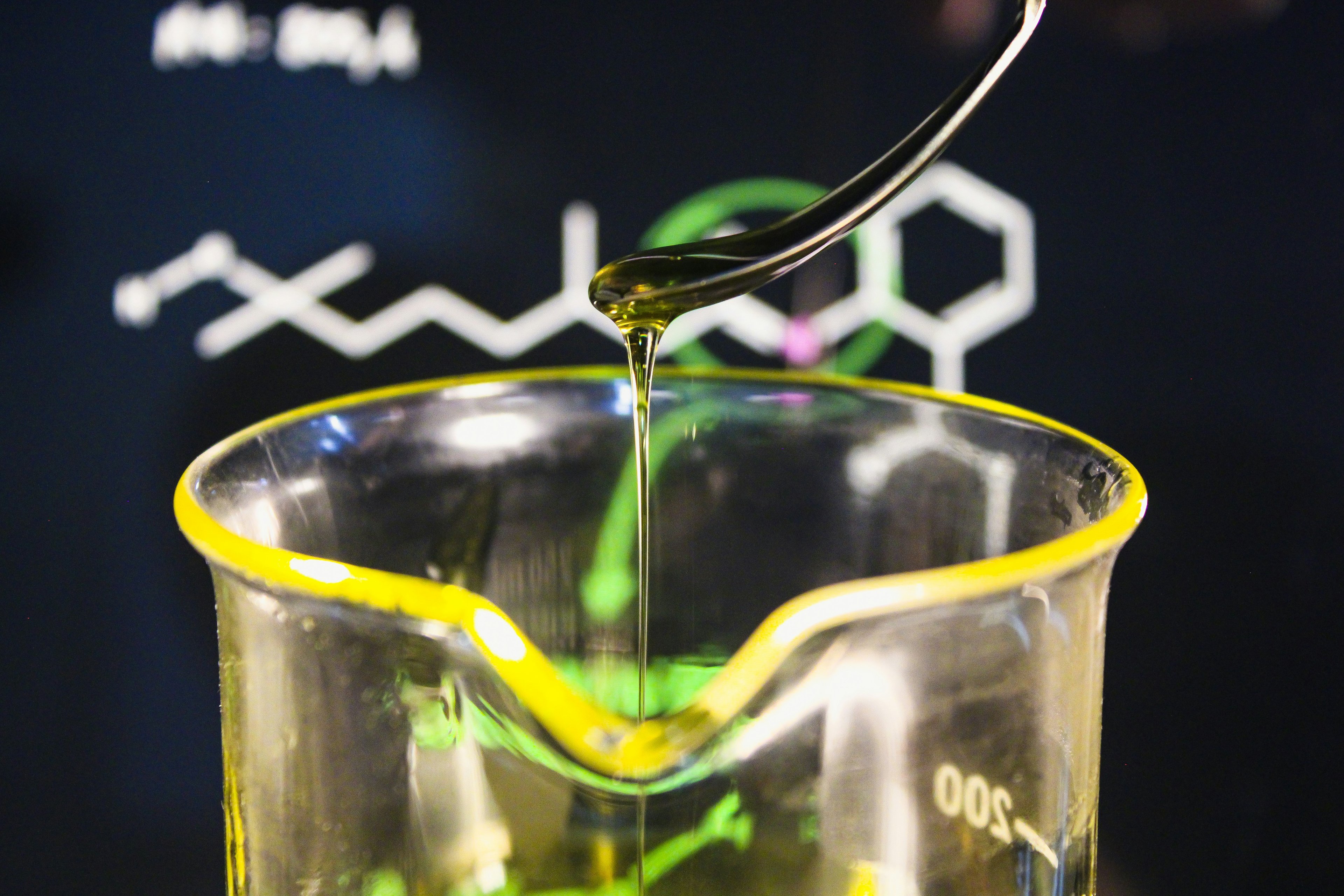 Safflower Oil: Healthier than Olive Oil