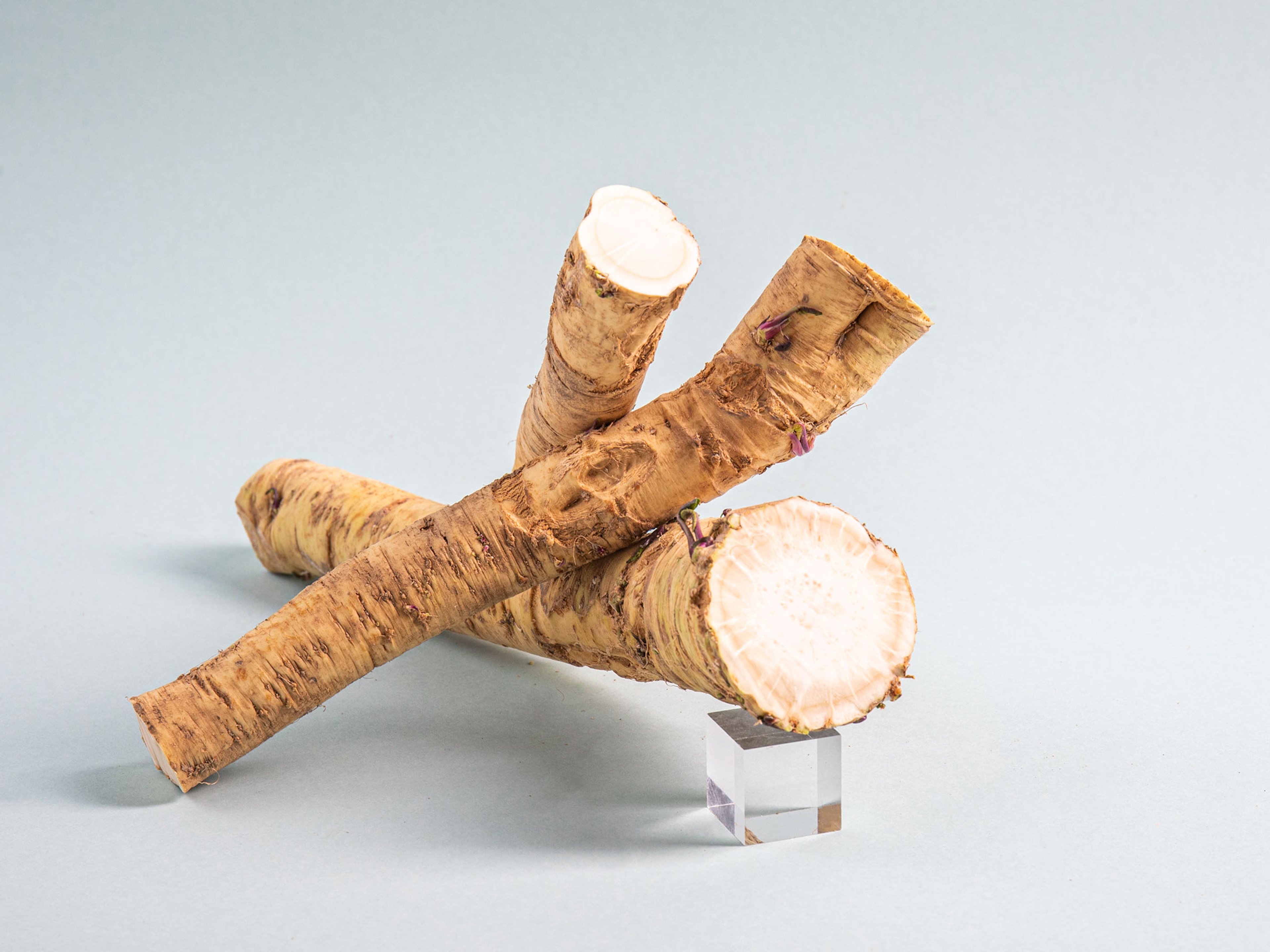 Everything You Need to Know About Shopping for, Storing, and Preparing In Season Horseradish