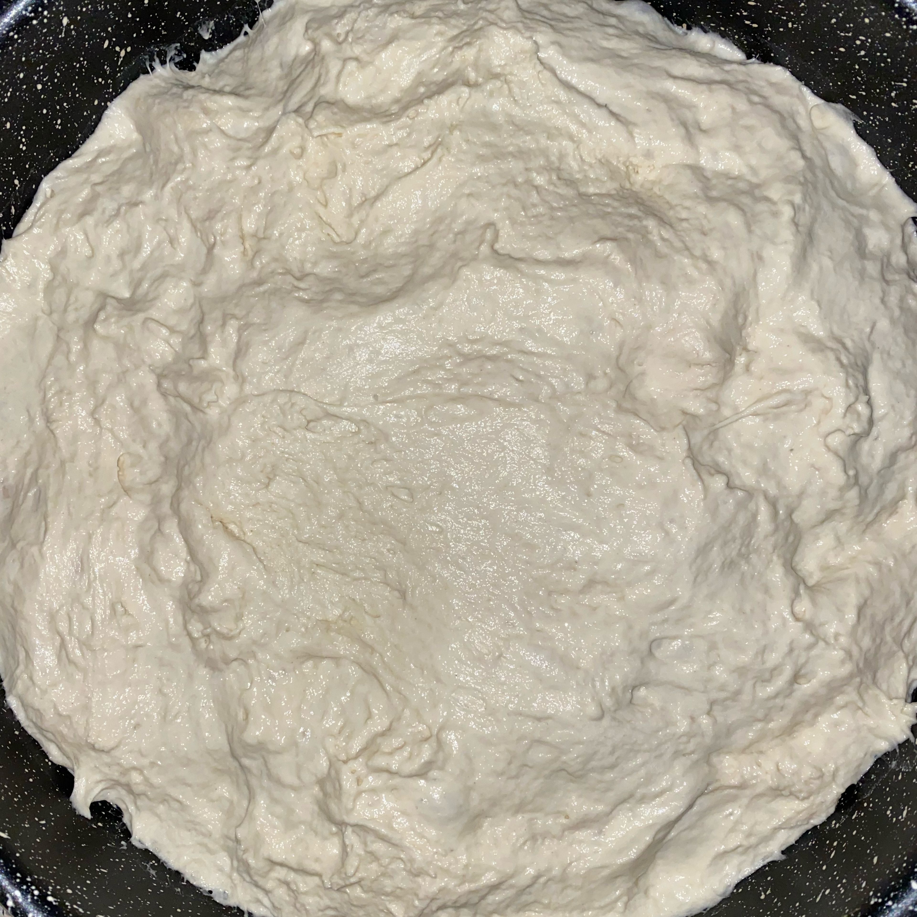 In a large bowl, combine the flour, yeast, salt, and water and stir with a large spoon until it comes together. Cover with plastic wrap and let rest overnight or at least 8 hours.