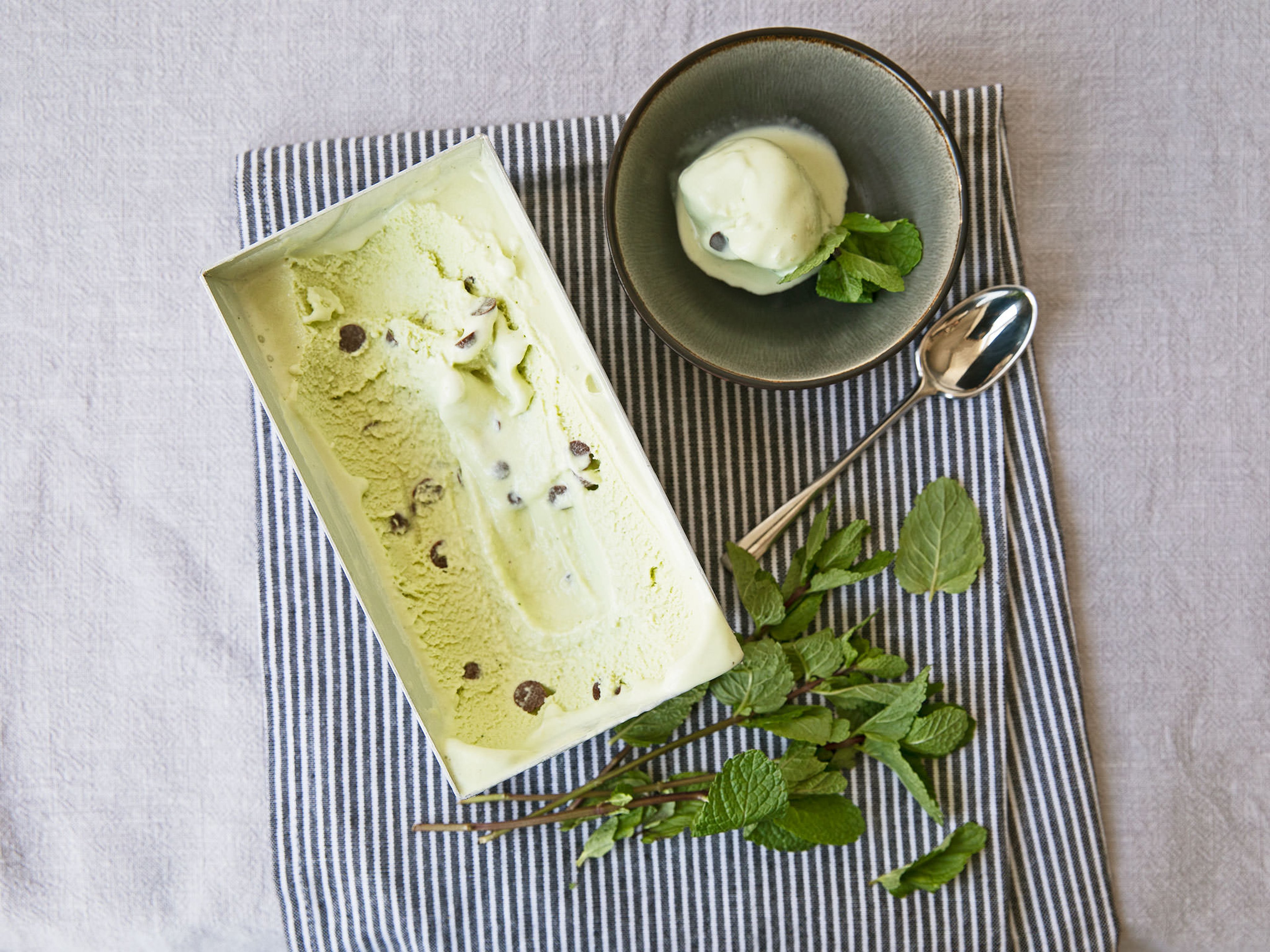 Mint chip ice cream