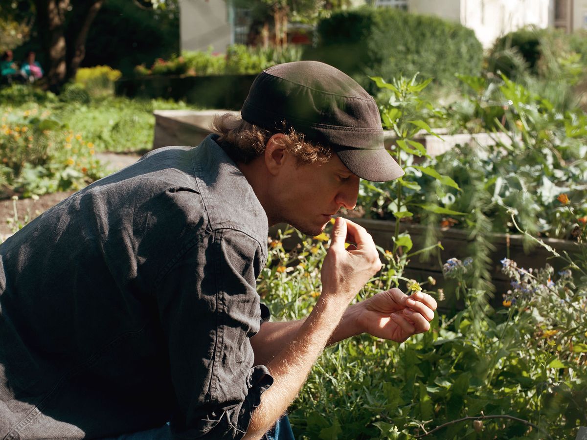 Munich's Best GardentoPlate Recipes Stories Kitchen Stories