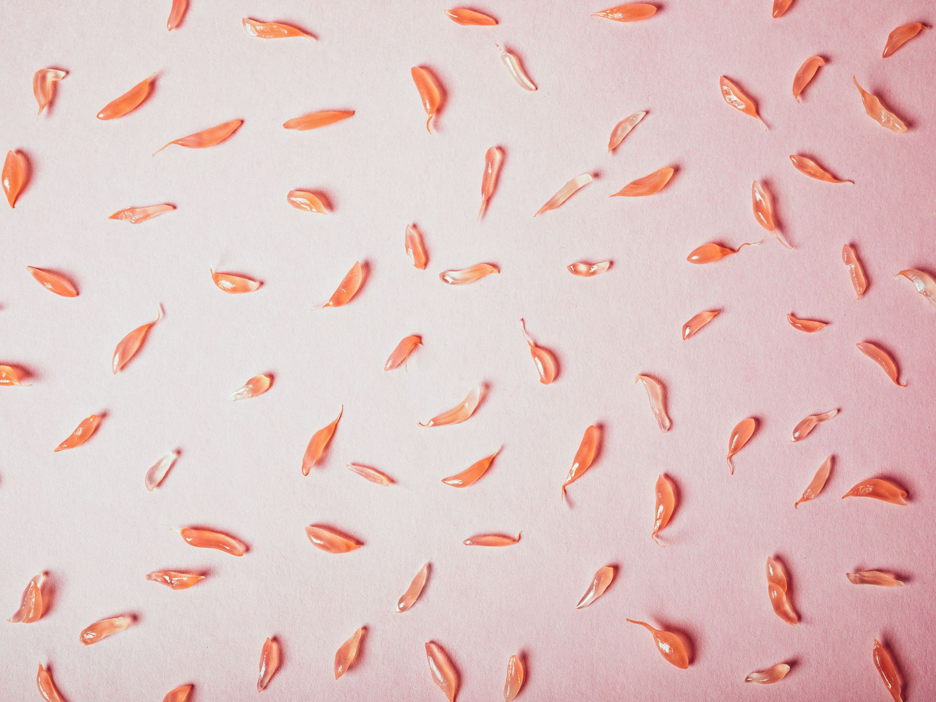 Jetzt in Saison Pomelo richtig kaufen, lagern und zubereiten Stories