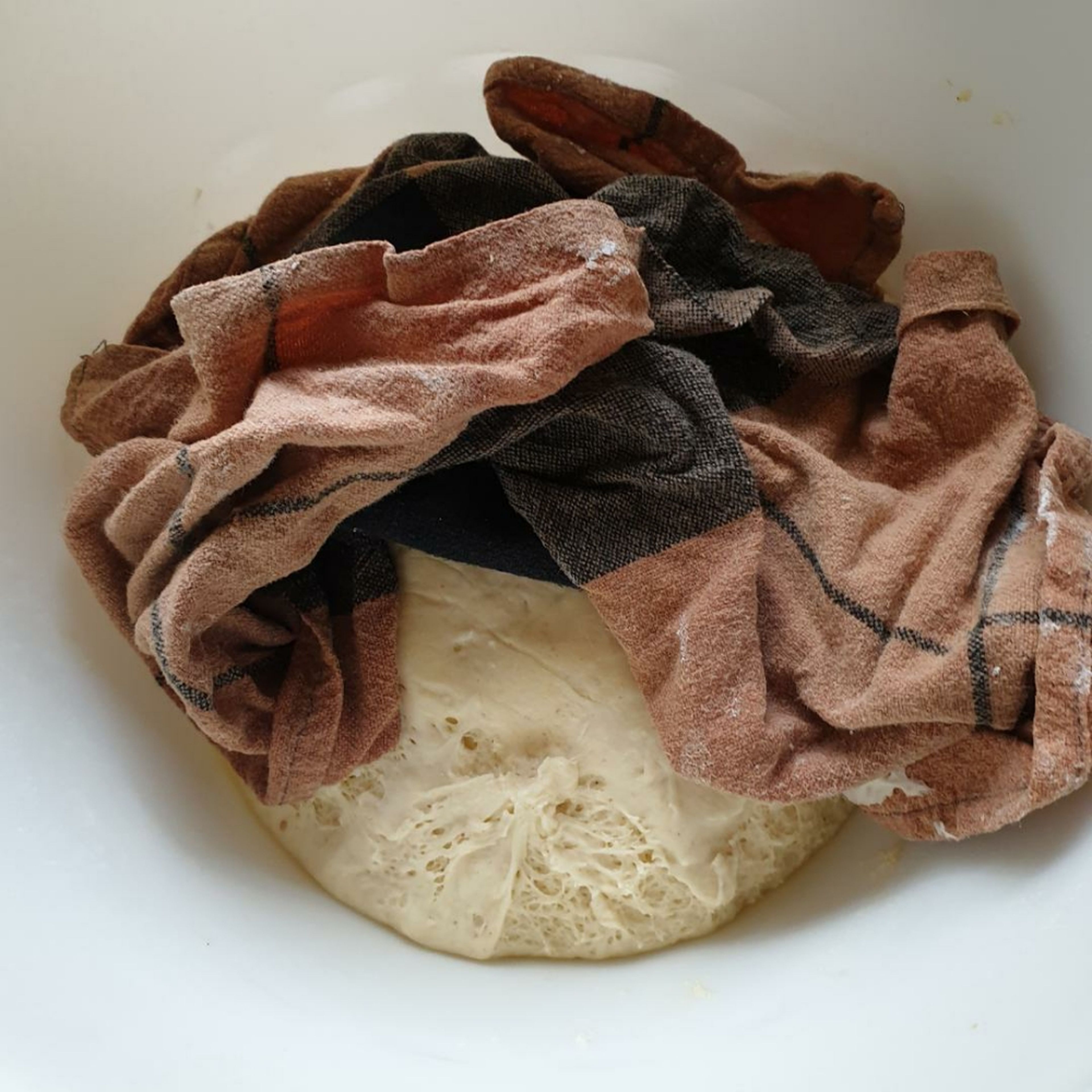 Place the dough in an oiled bowl and cover with a damp cloth. Set aside in a warm and cool place for an hour or till the dough rises.