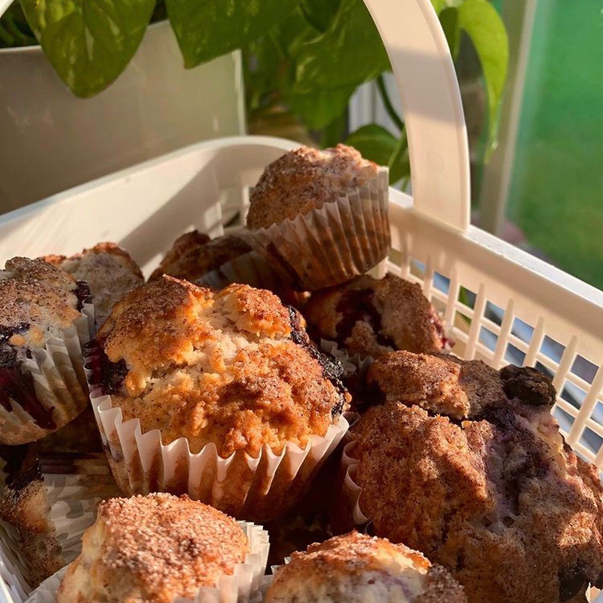 Blueberry Muffins | Recipe | Kitchen Stories