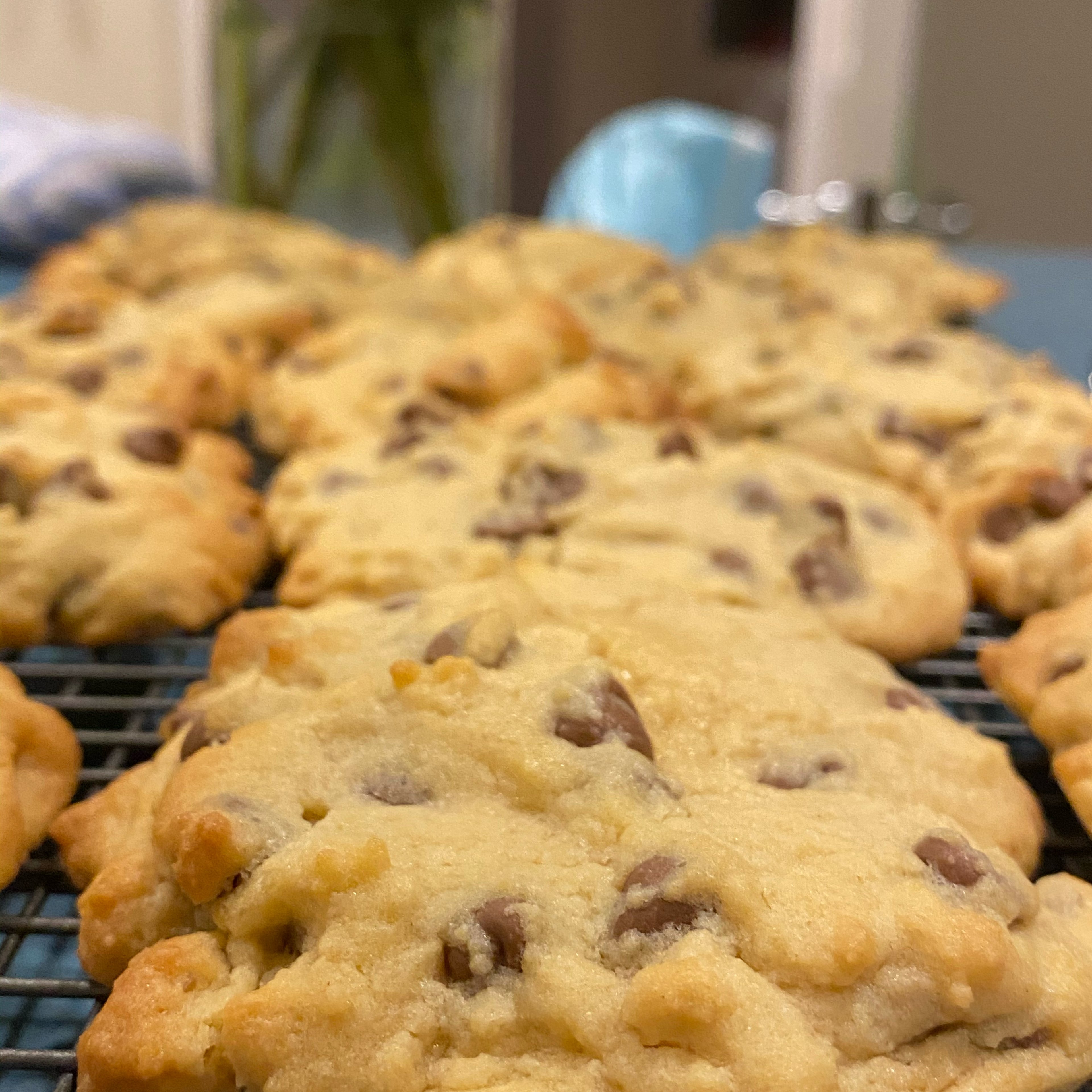 Chocolate Chip Cookies