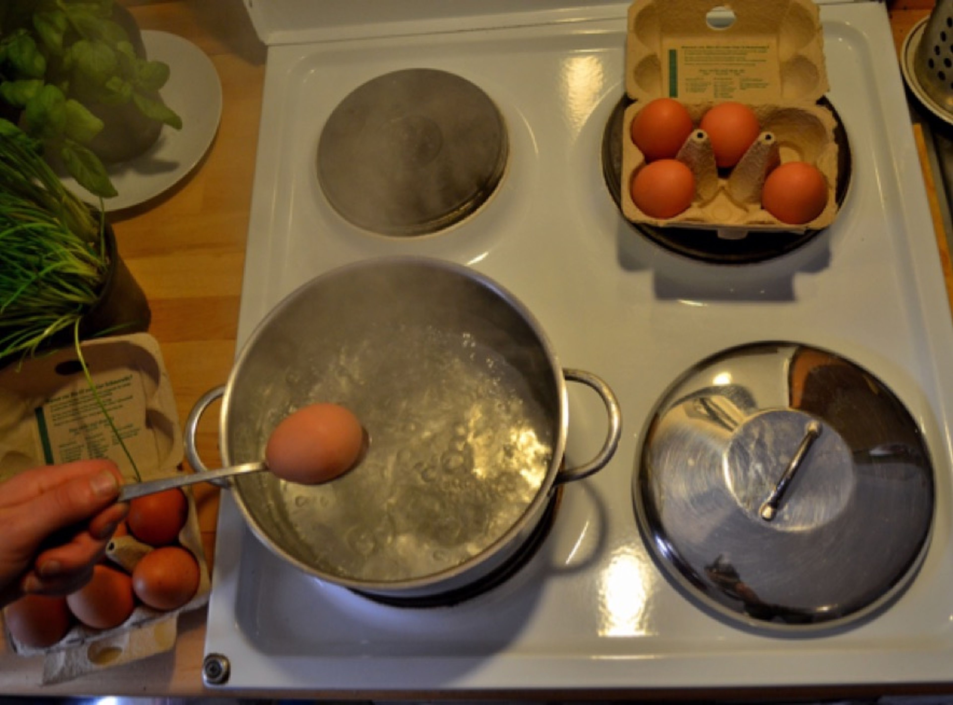 Cook eggs for 9 min. until hard-boiled. Set side to cool down.