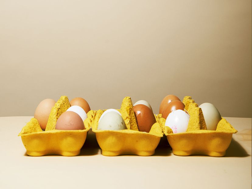 Easter Products in the Spotlight of Consumer Protection: Monitoring of Eggs, Lamb, and More