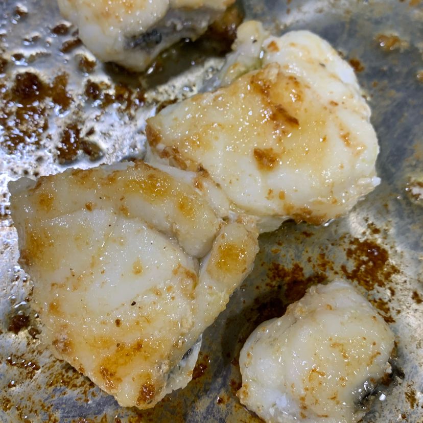 Prächtige Seeteufelmedaillons