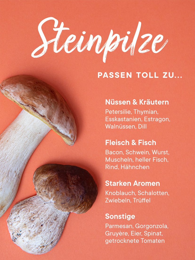 Jetzt in Saison: Steinpilze richtig sammeln, lagern und zubereiten 