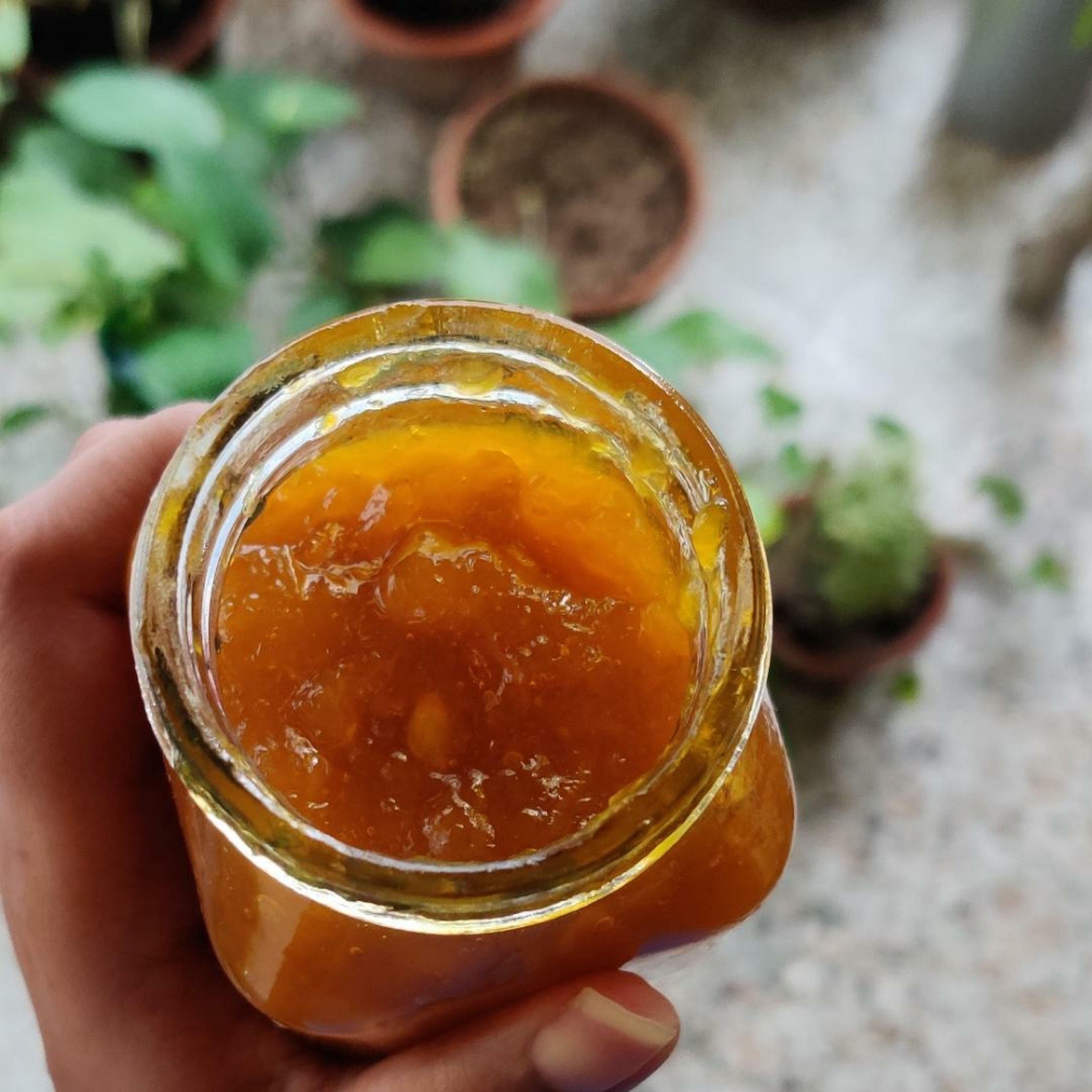 Homemade Mango Jam