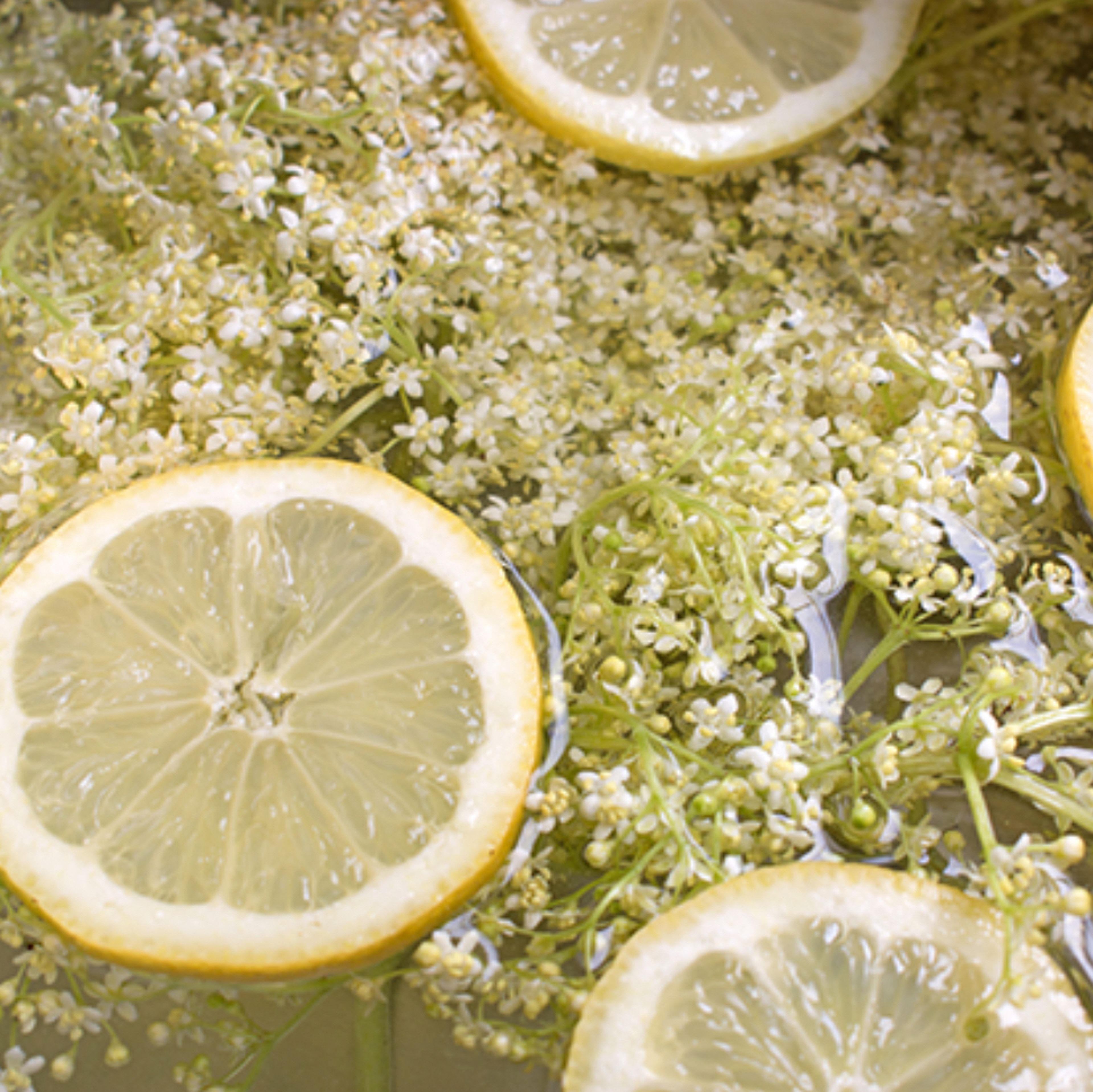 Put the elder flowers in about 5 L of water, add the juice of two lemons and another lemon quartered or sliced. It's important to use organic, unwaxed lemons! This process is called cold maceration: here the flowers are left for 2 to 2 days max to macerate.