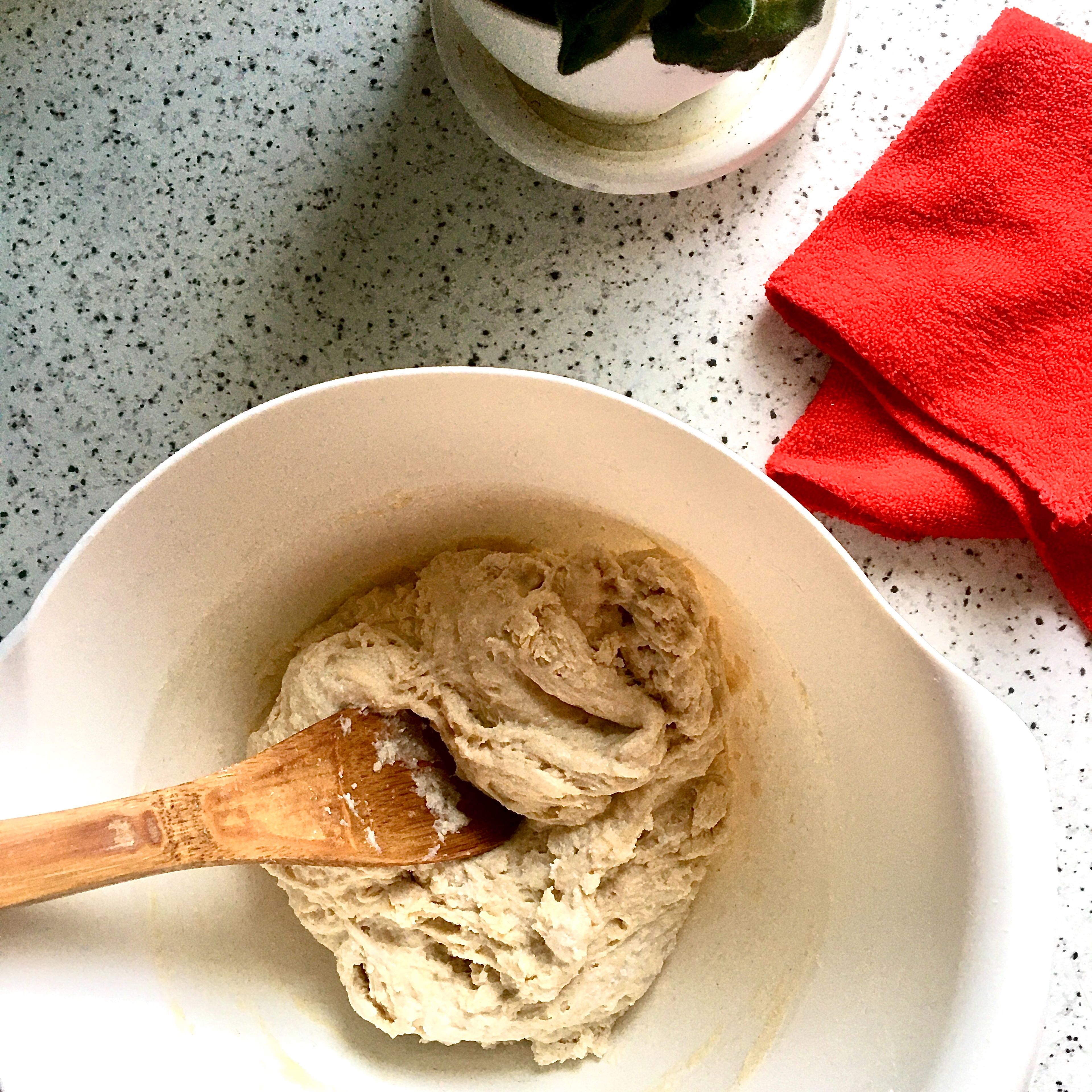 In a large bowl, stir together the sourdough starter with water, milk, yeast, sugar, ricotta cheese and salt. Add the flour and mix with a wooden spoon until the dough comes together.