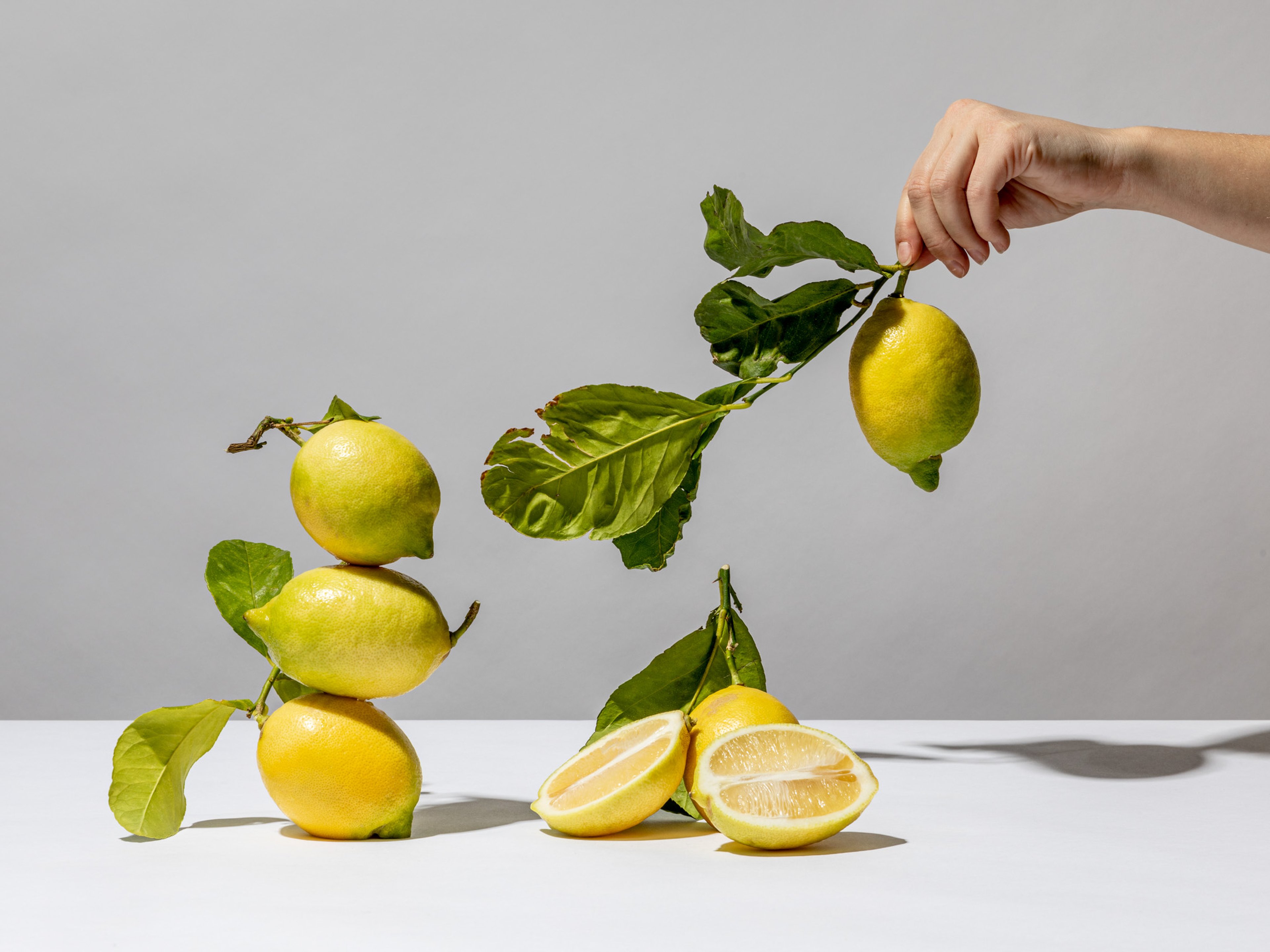 Jetzt in Saison: Zitronen richtig kaufen, lagern und zubereiten