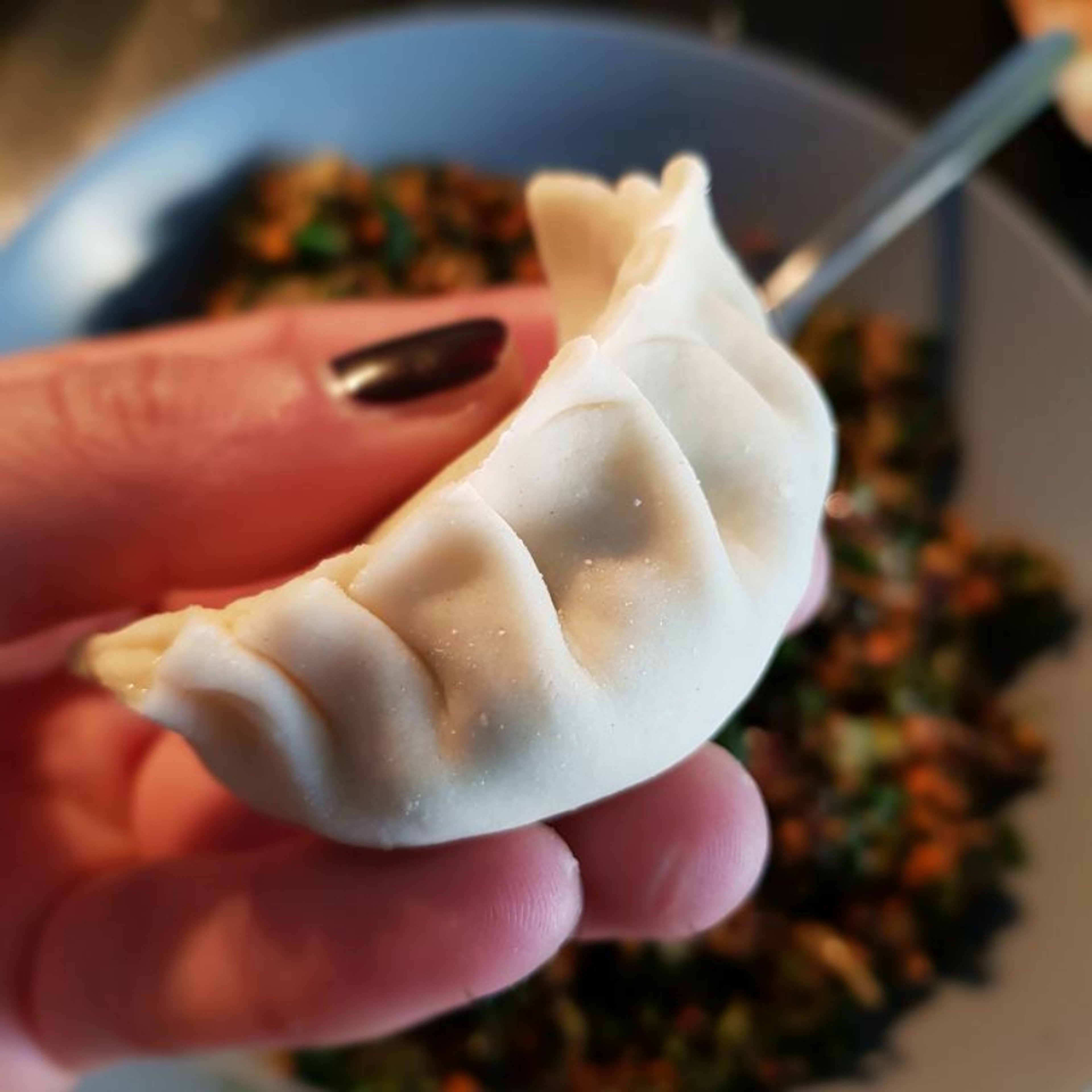 Vegan Gyoza