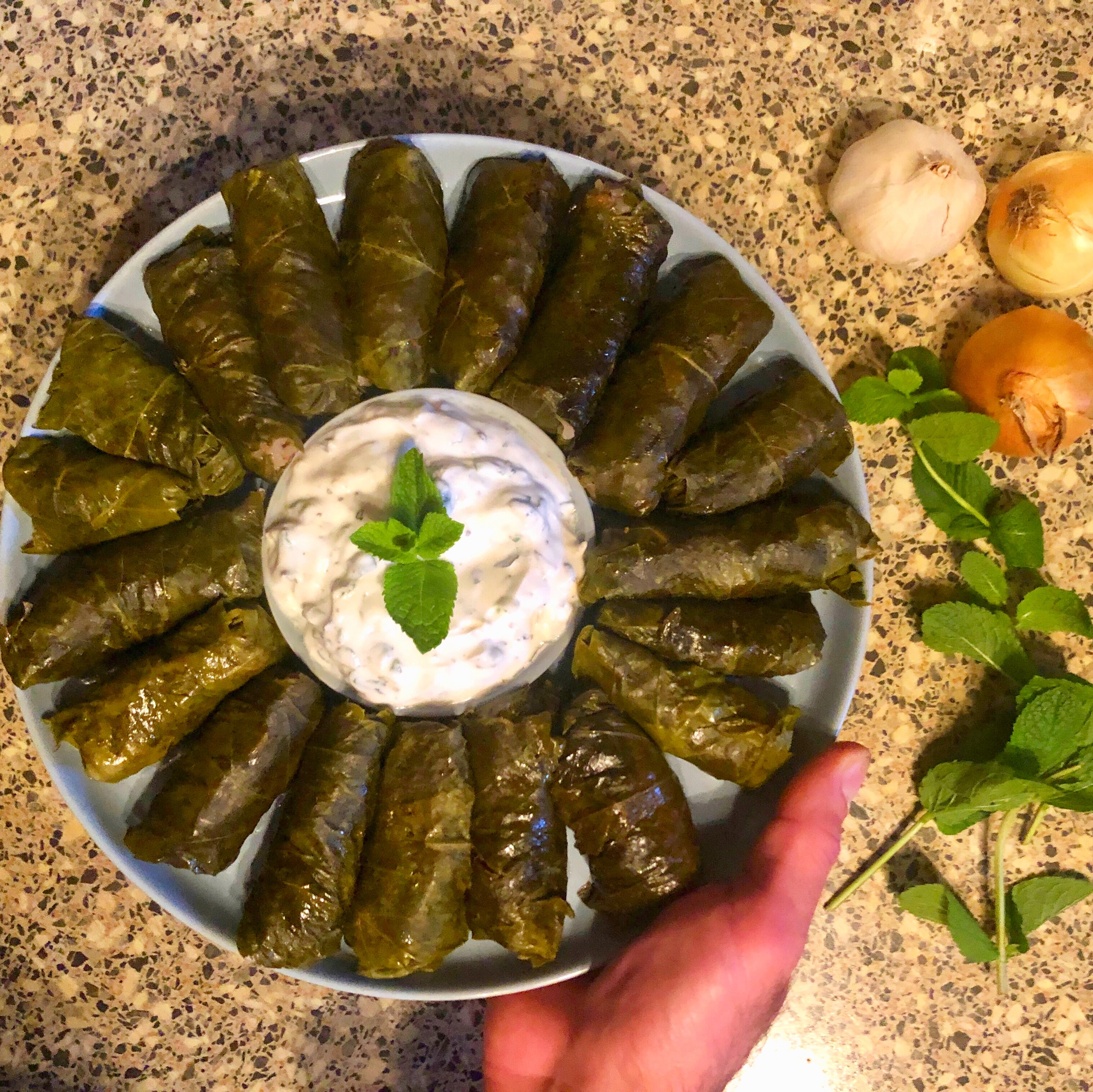 Armenian Dolma (Tolma) Served With Yoghurt-Mint Sauce.