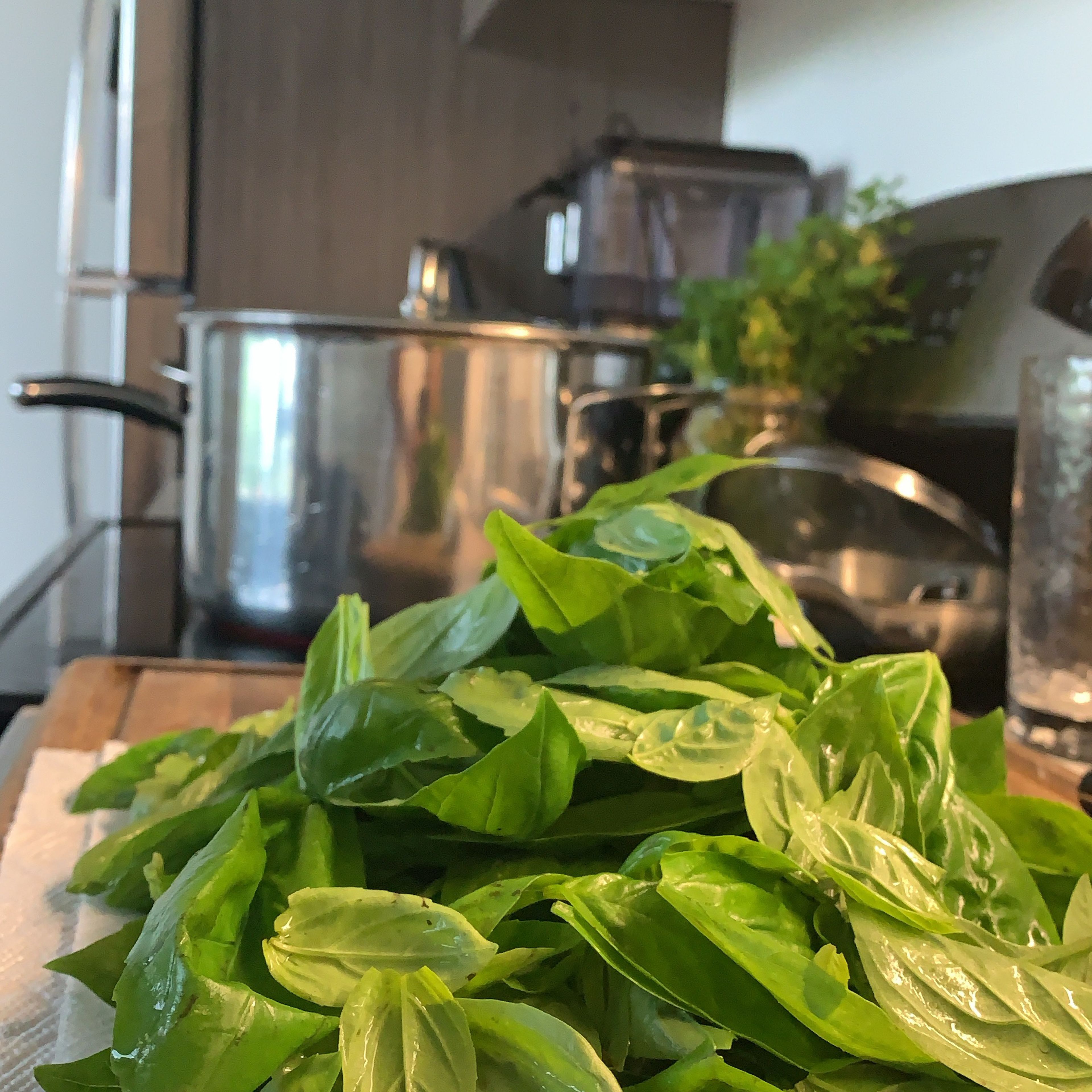 Quickly blanch basil in heavily salted pot, immediately remove and put into ice bath to stop cooking process.
