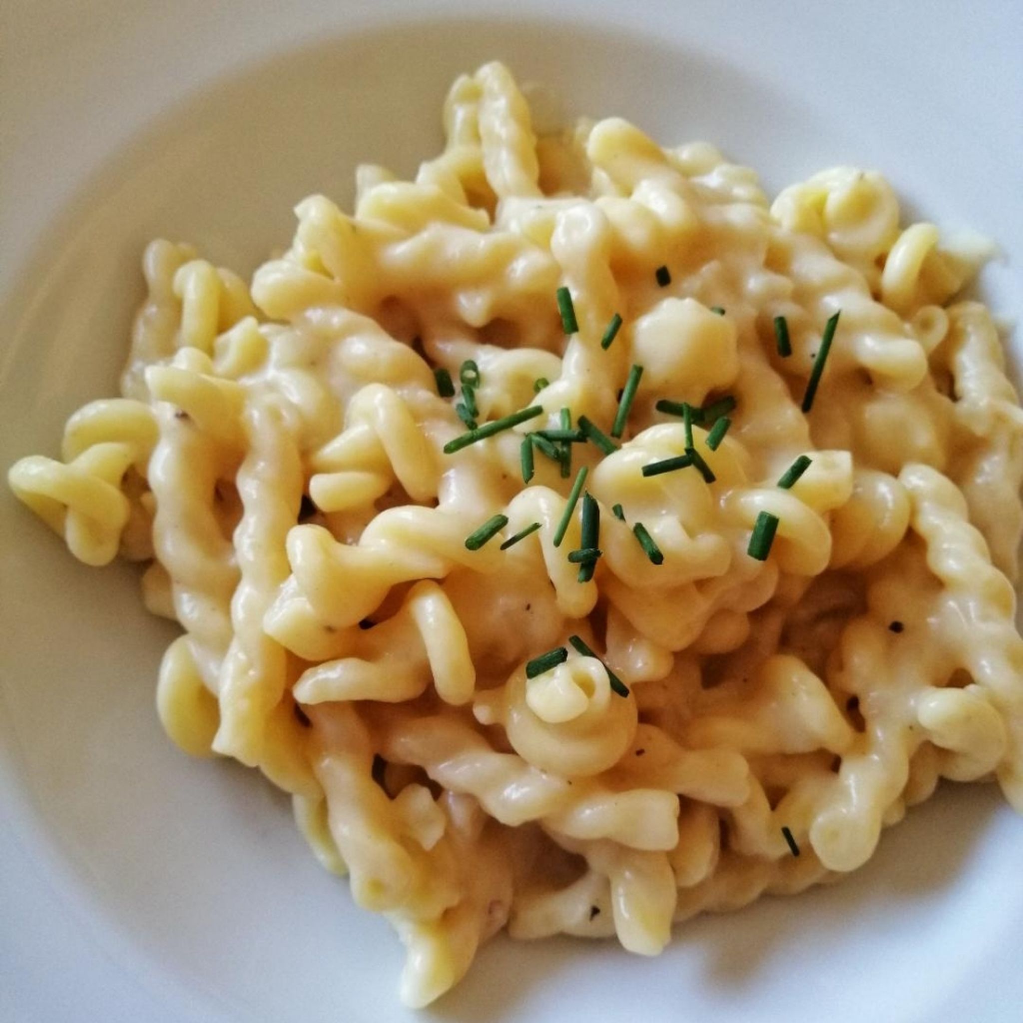 Käse-Knoblauch Pasta