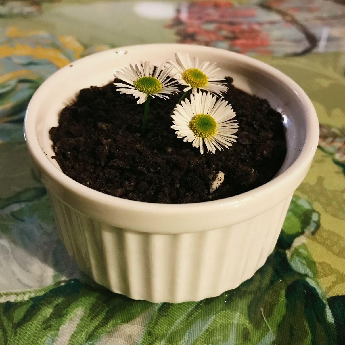 Vegan chocolate pudding | Recipe | Kitchen Stories