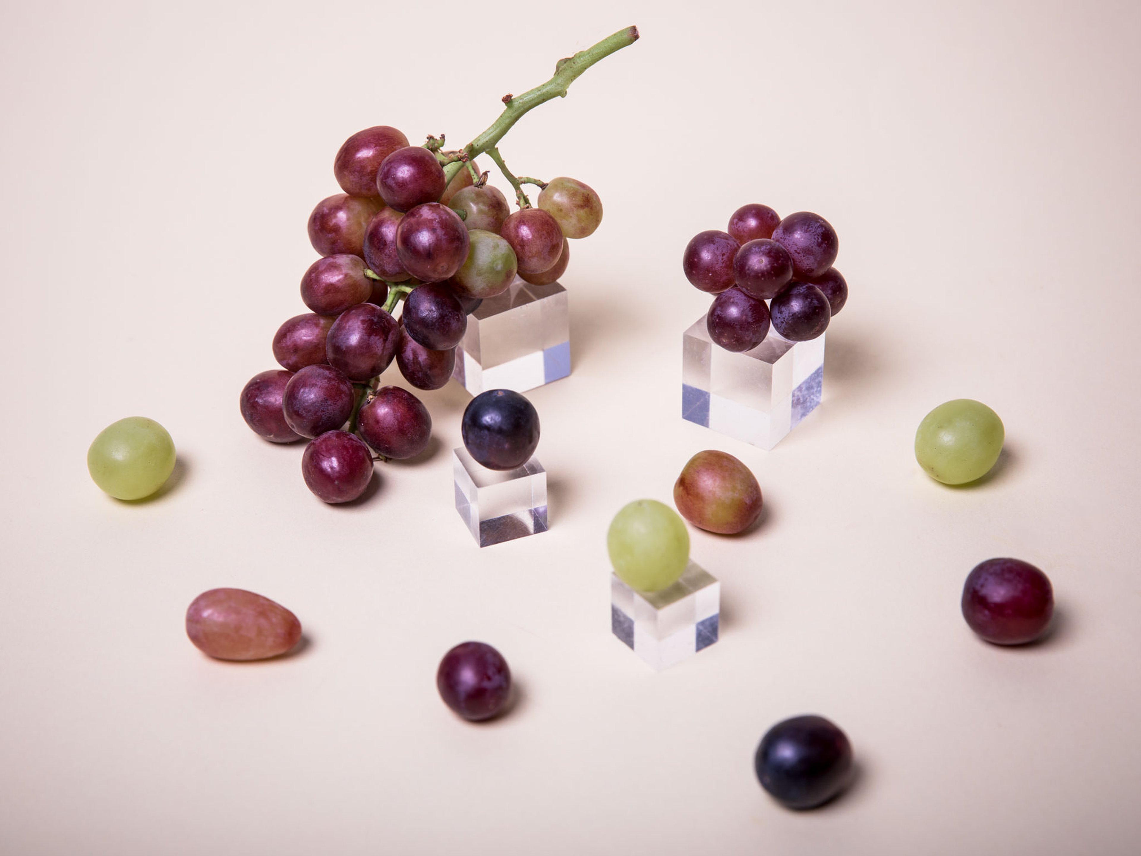 Jetzt in Saison: Weintrauben richtig kaufen, lagern und zubereiten