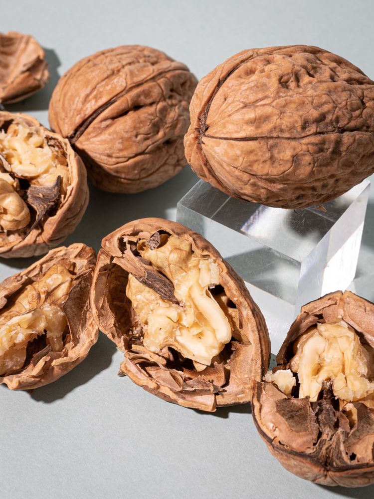 Everything You Need to Know About Preparing and Storing In Season